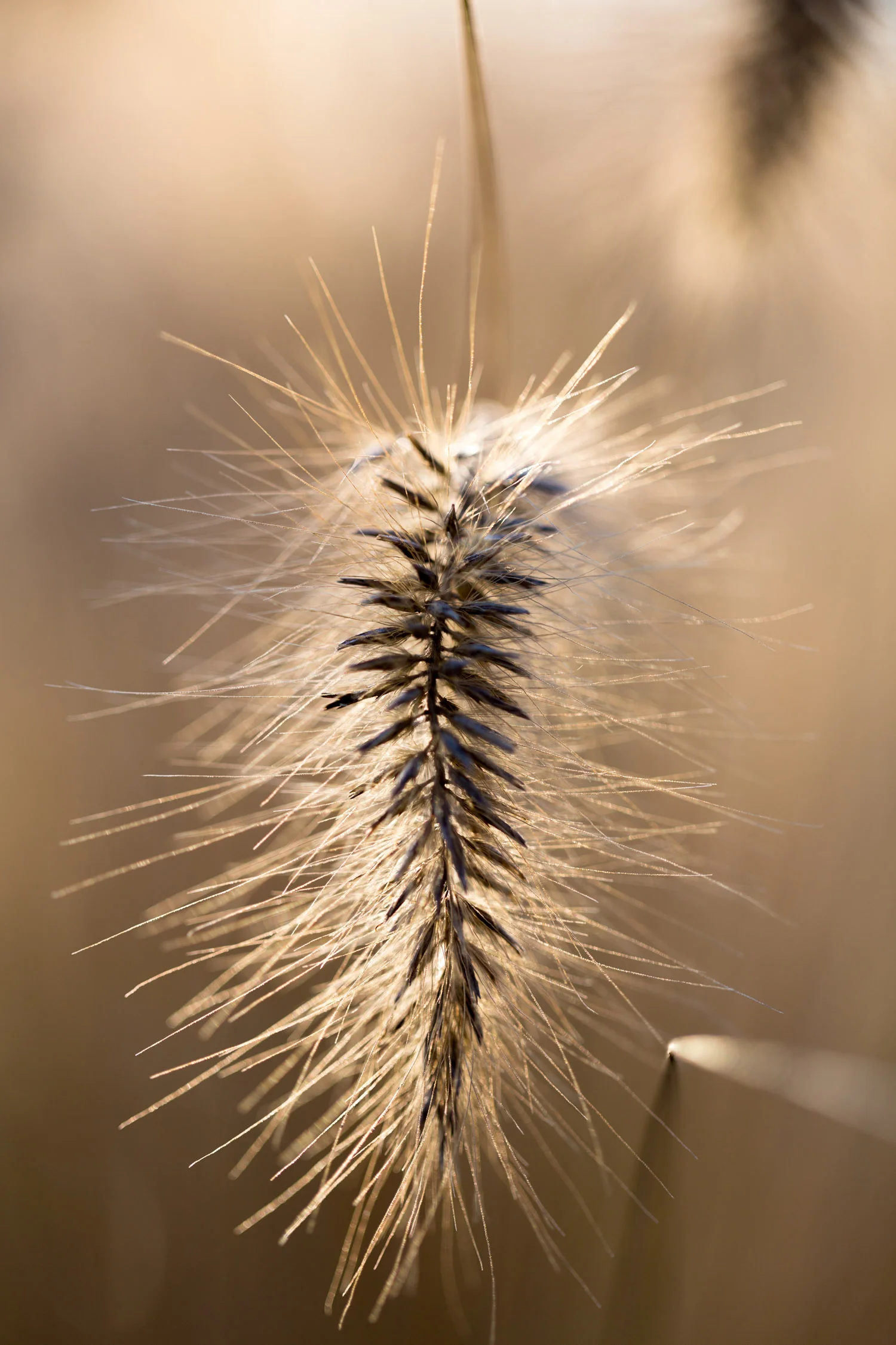 Nature_9.jpg