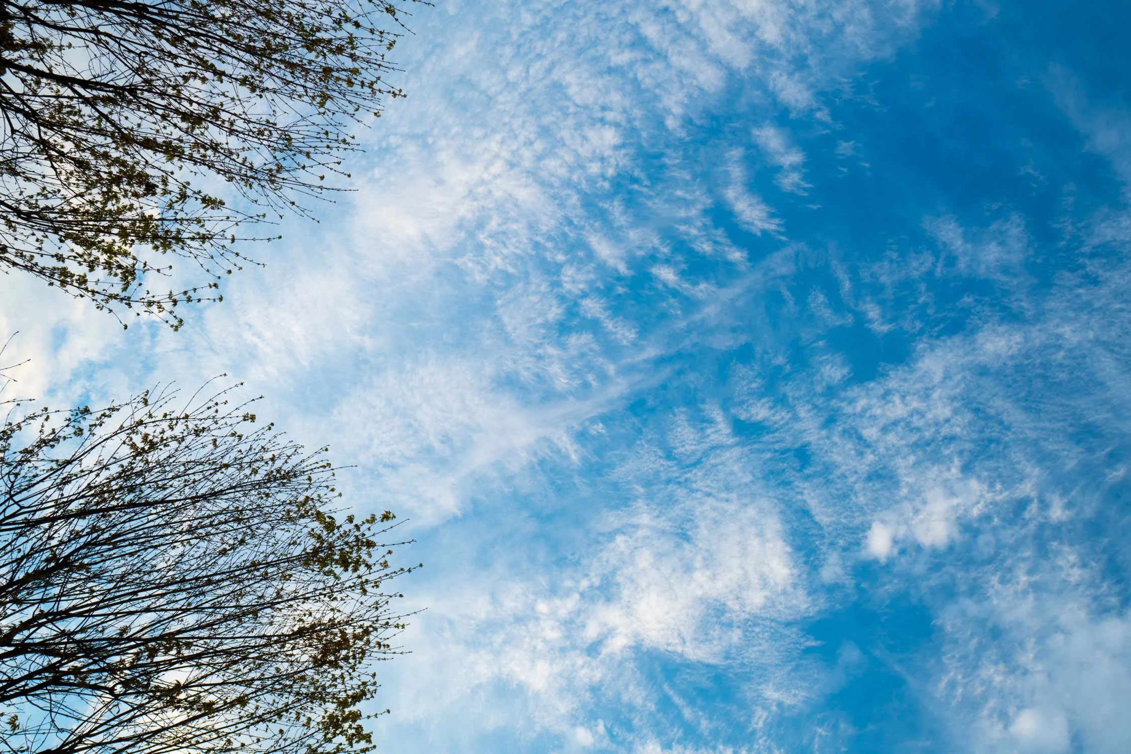 Nature_6.jpg