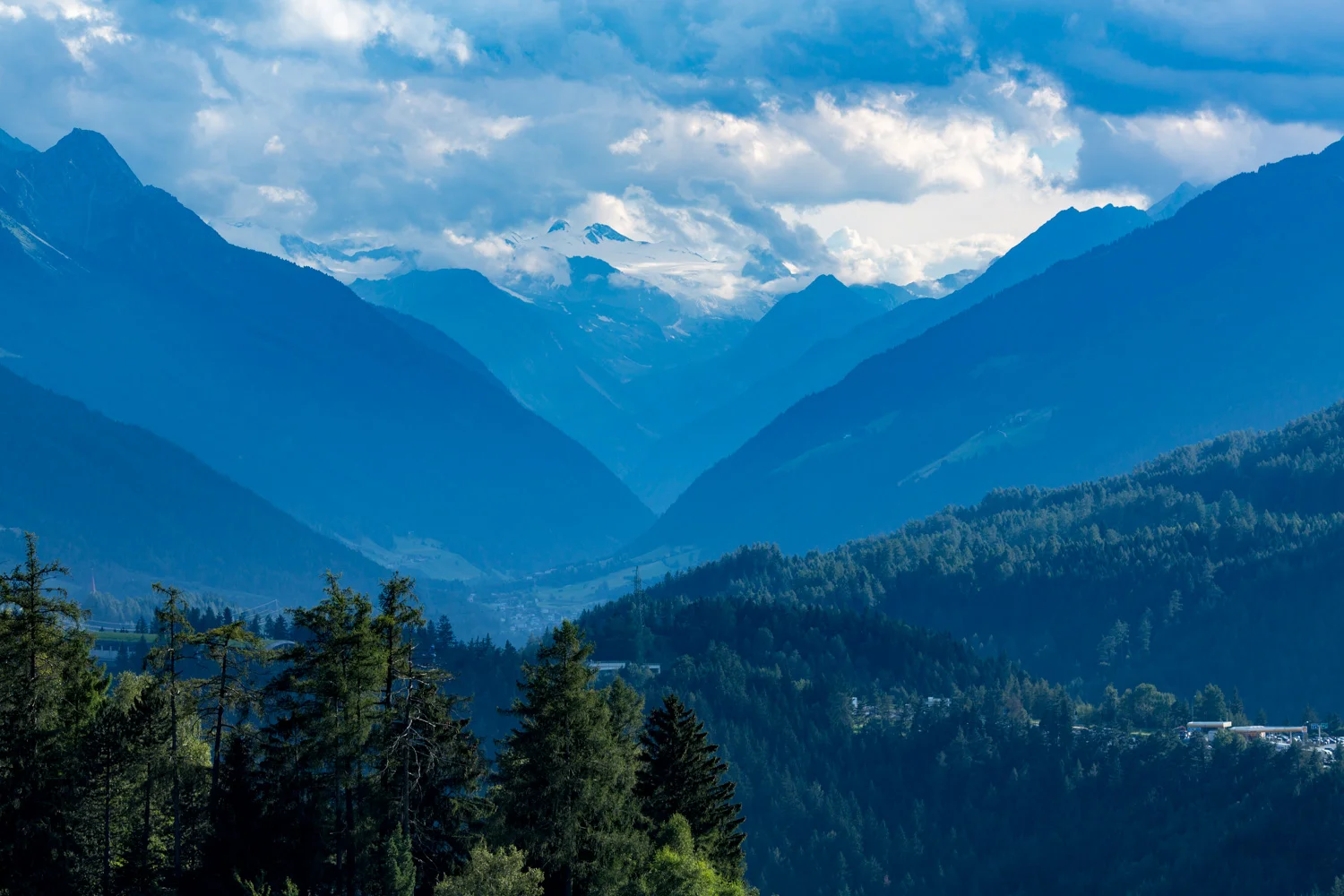 Nature_17.jpg