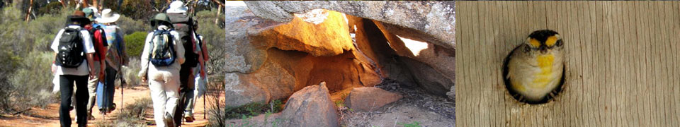 slide16.jpg