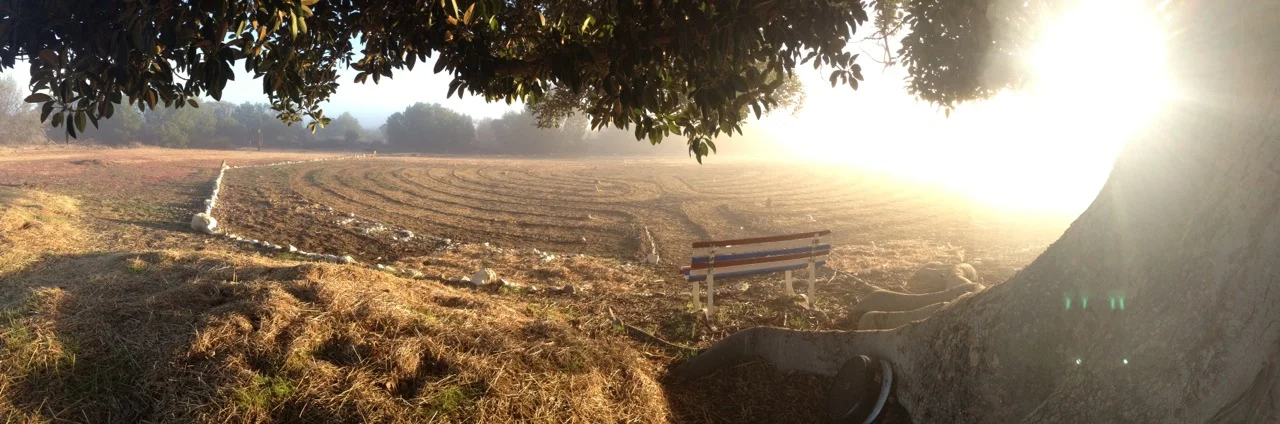 LabyrinthMistyMorning.jpg