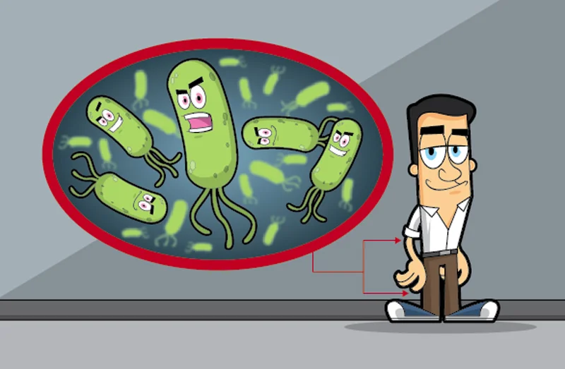 Bacteria.jpg