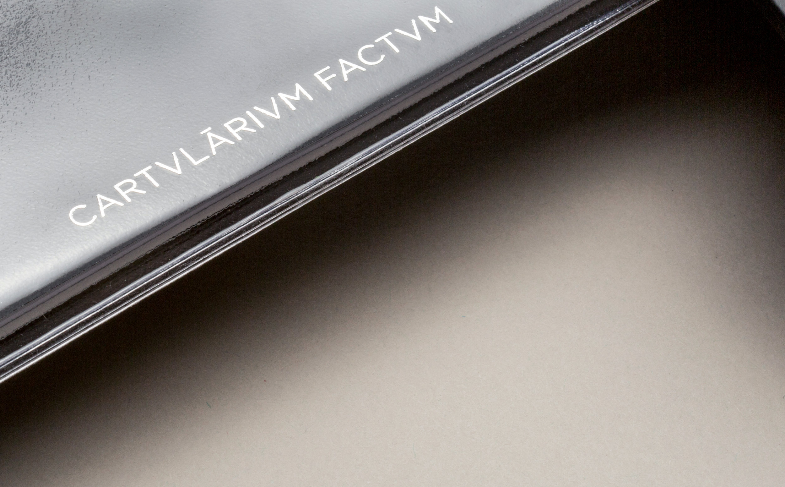 FActvm_Book_03.jpg