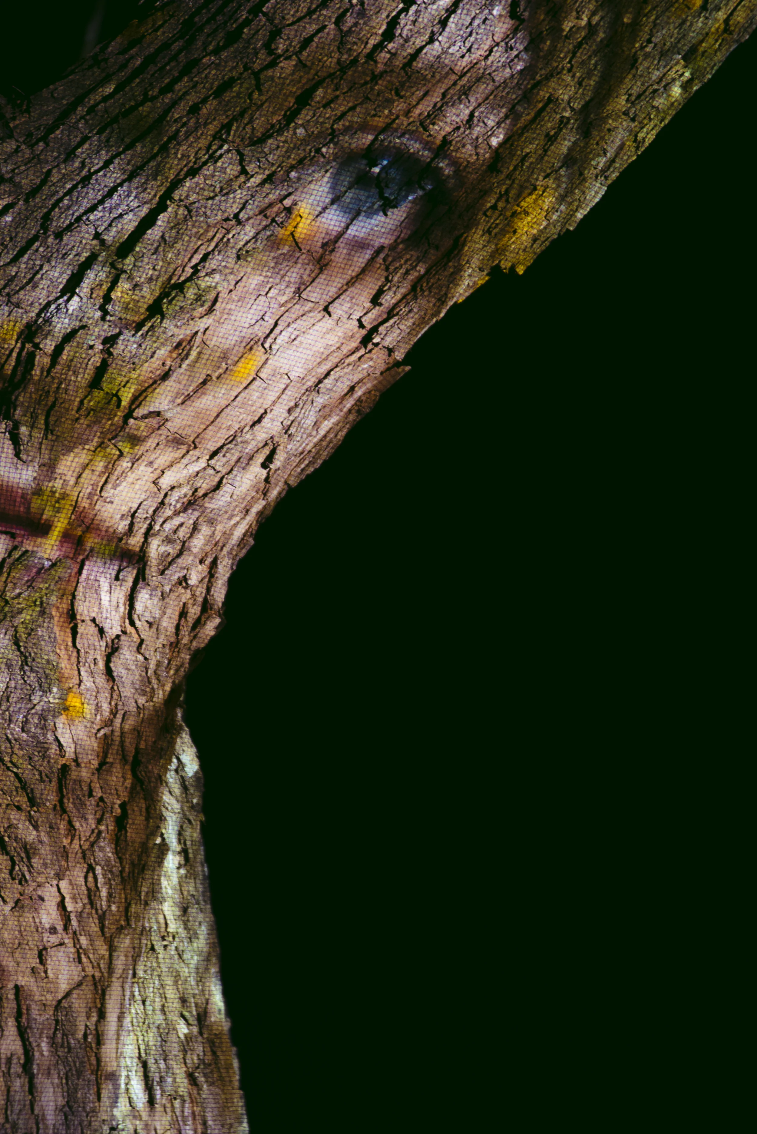 PhotosByBri-reedit-5020.jpg