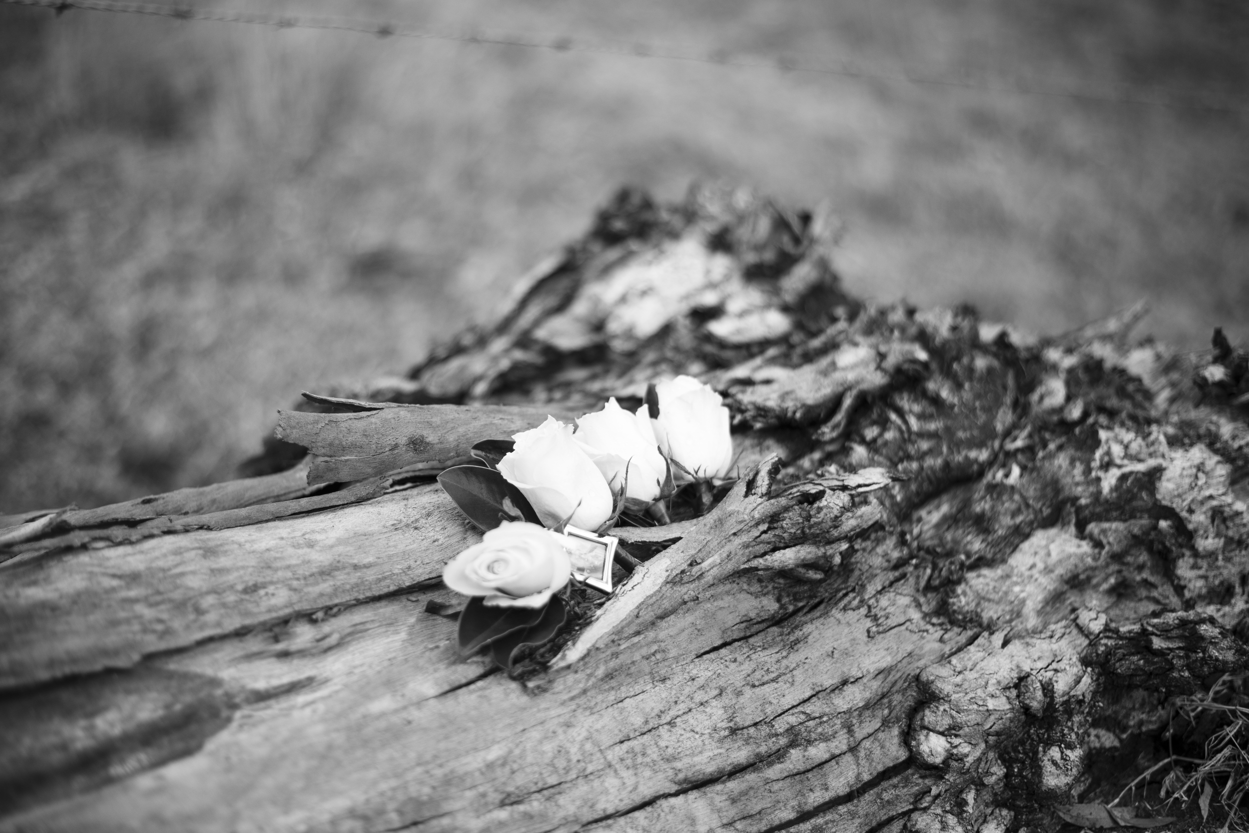 bwM&GGordonCountryWedding-PhotosByBri-5606.jpg