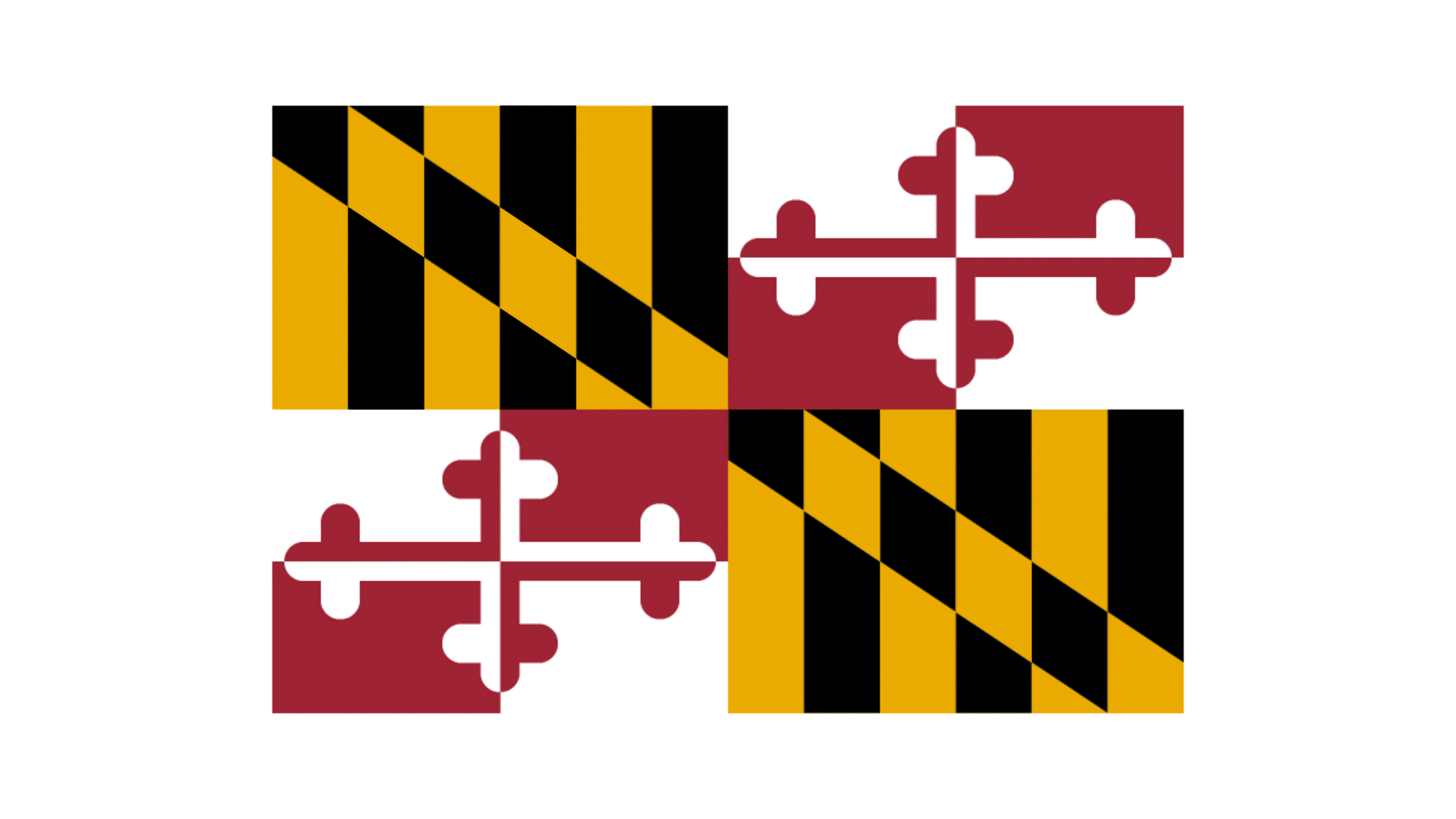 Delegate Nick Allen for District 8 logo animation