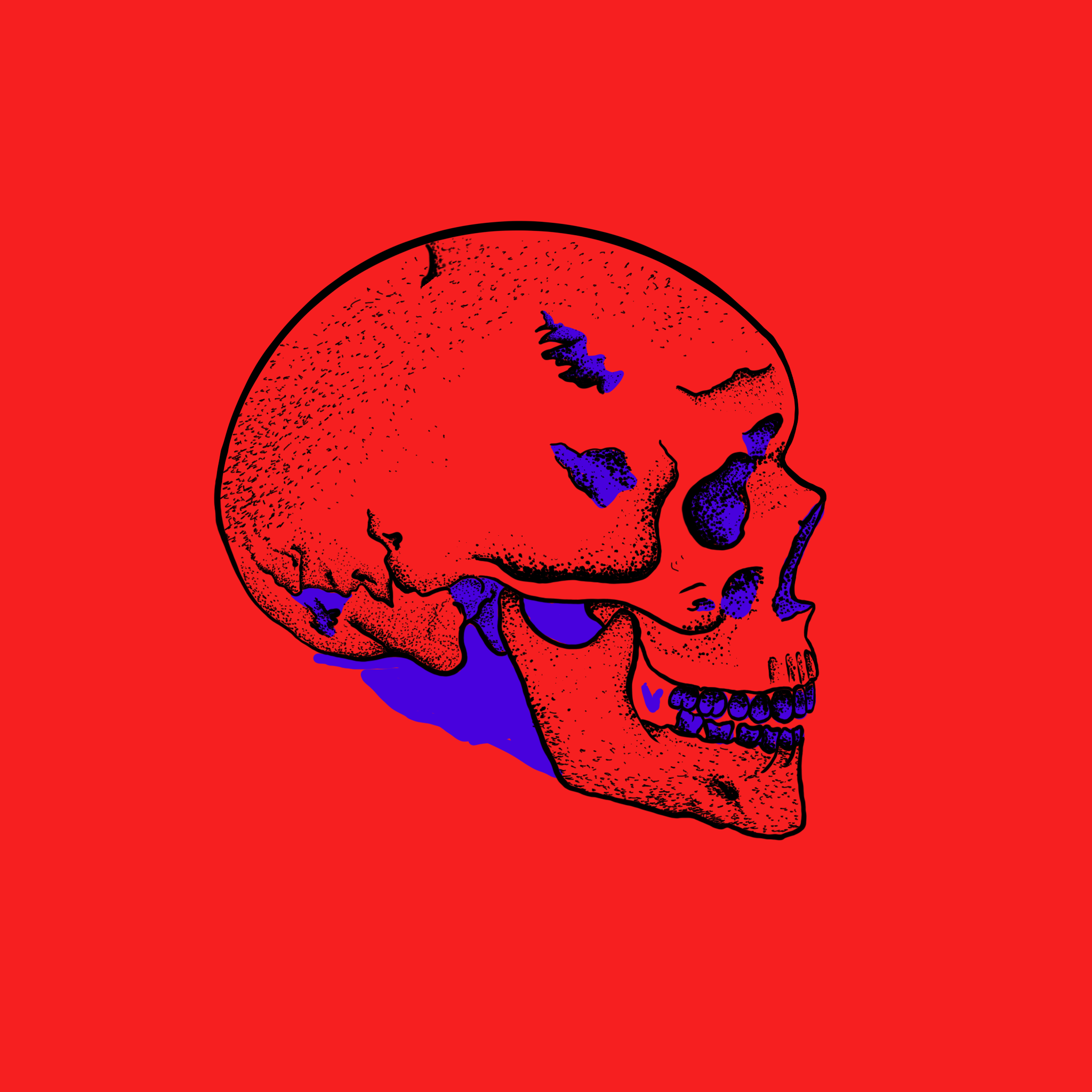 Fuck_You_Skull.gif