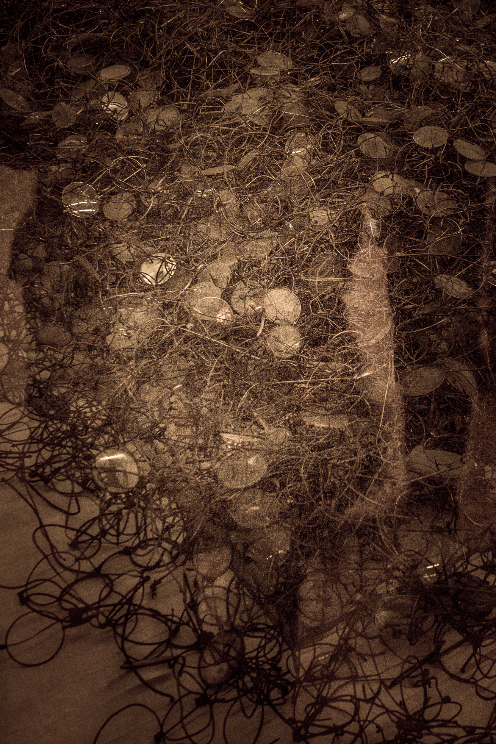 Auschwitz-Birkenau_009.jpg