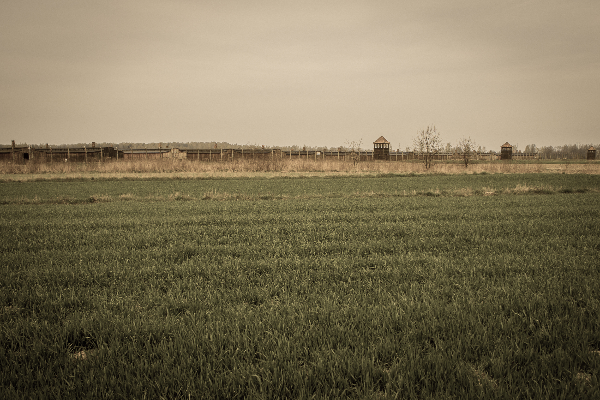 Auschwitz-Birkenau_024.jpg