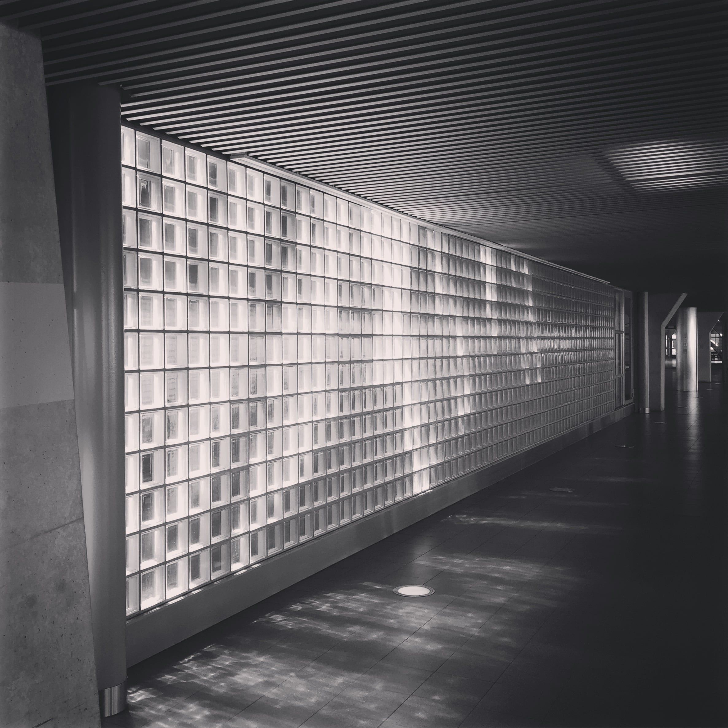 'Glass Wall - Schiphol' 2015