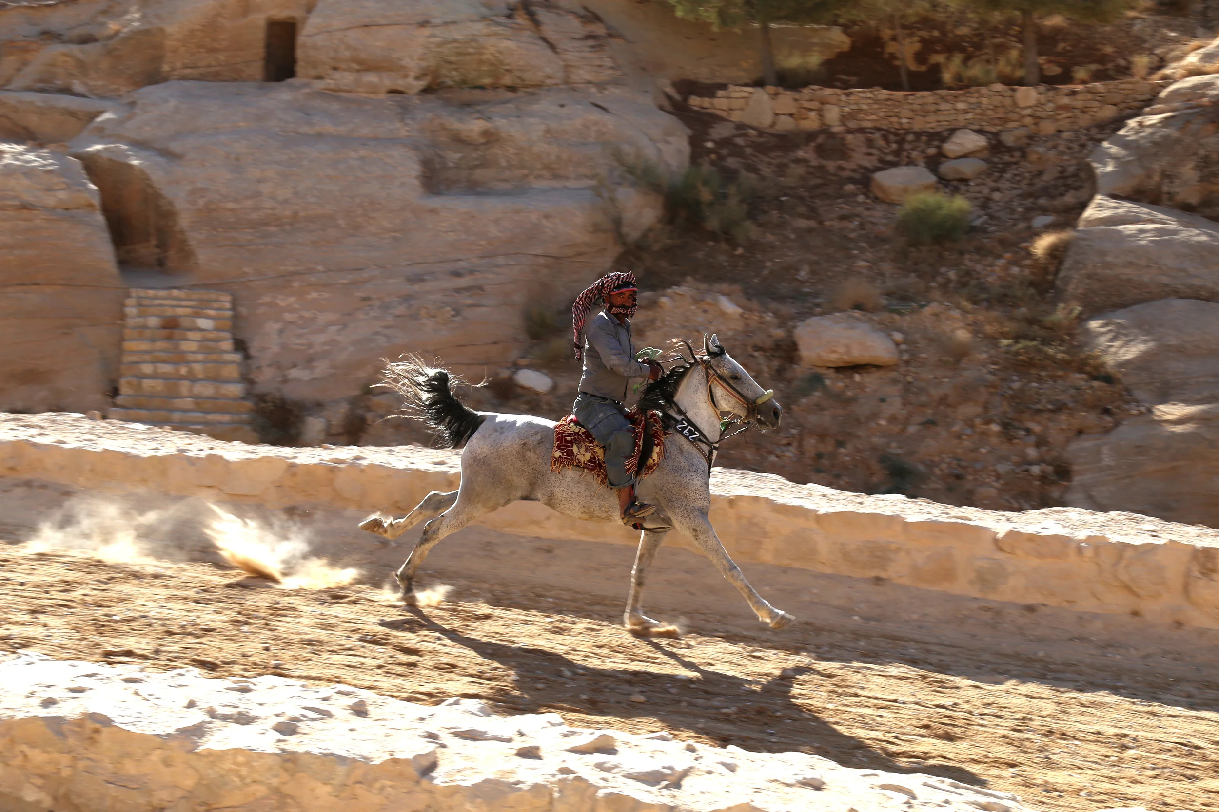 IMG_4022.JPG