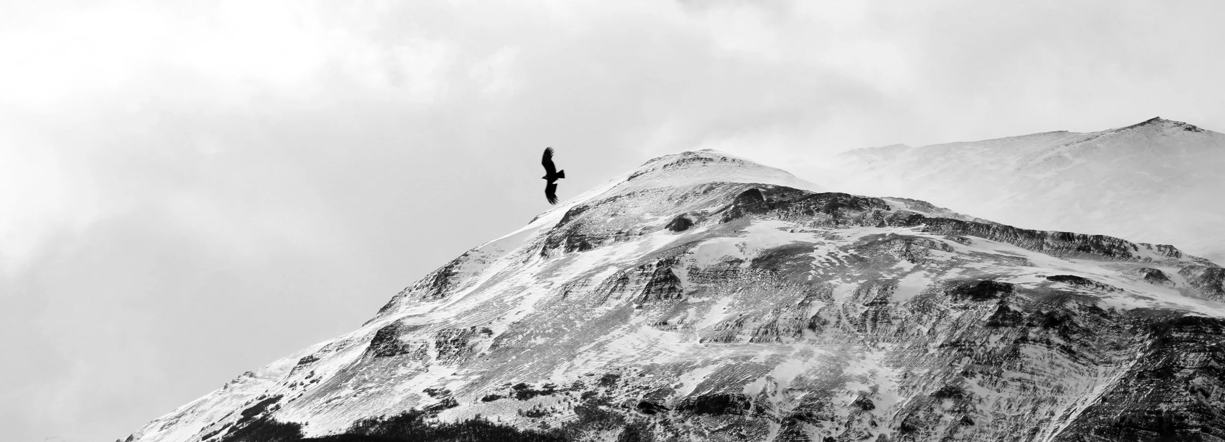 IMG_9523bw.jpg