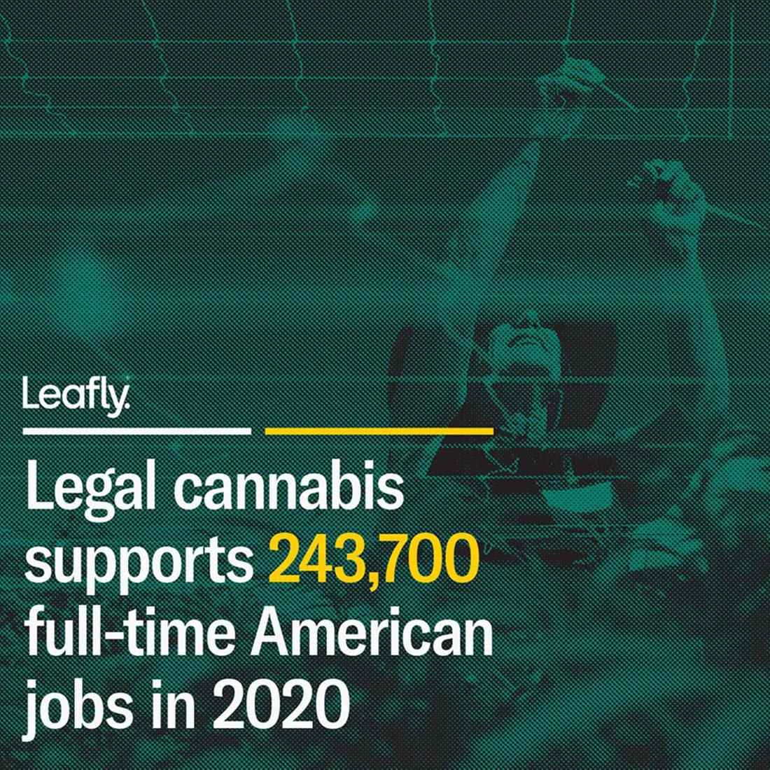 Leafly Editorial