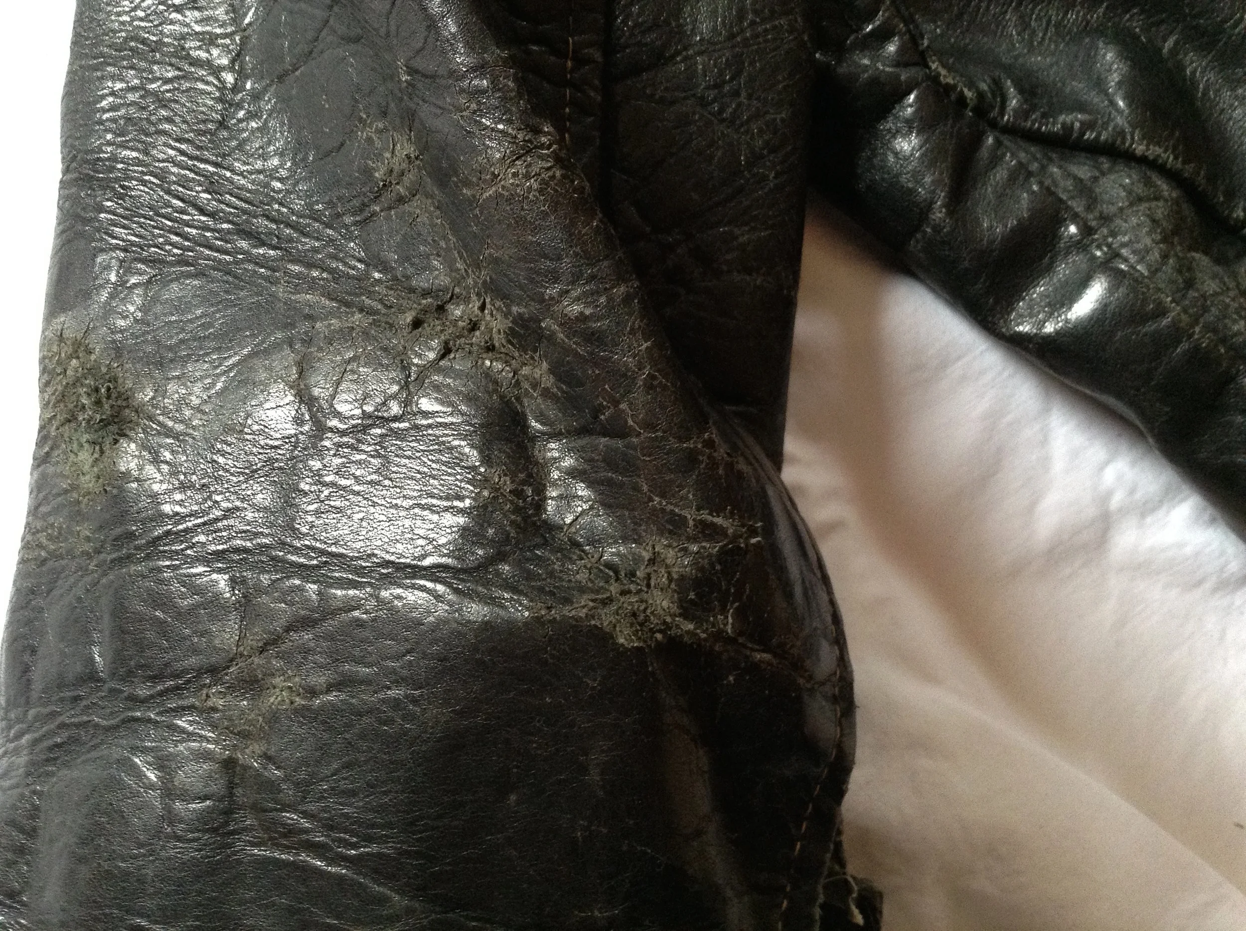Conditioning, vintage 1950's biker jacket. Before.