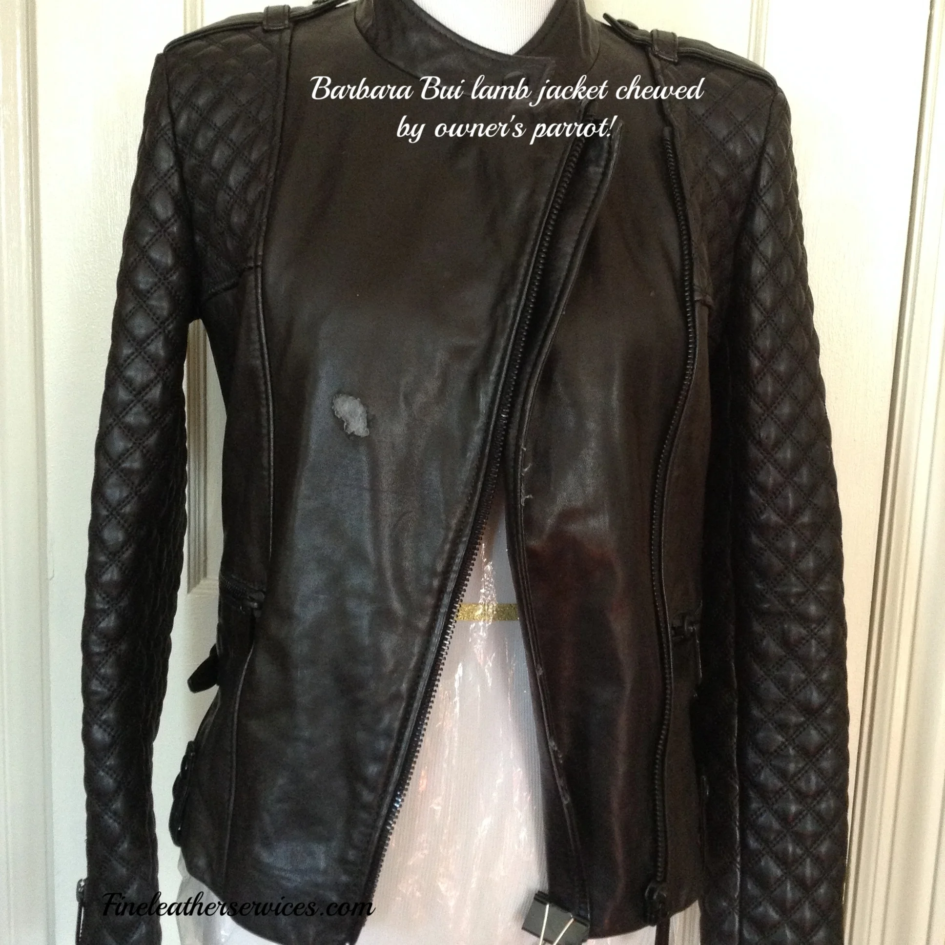 Lamb leather jacket with pet damage