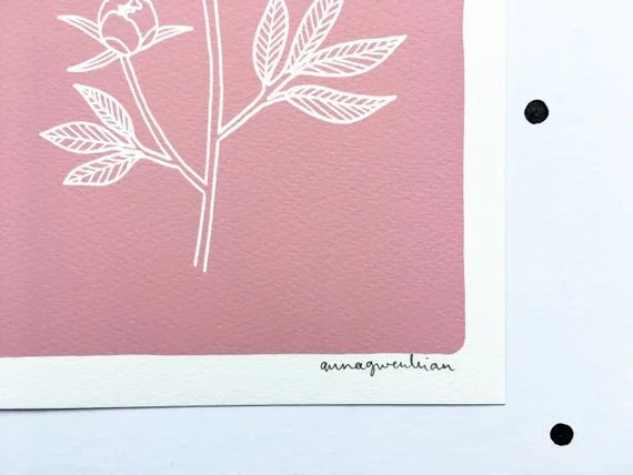 peony rose pink minimal minimalist art artwork illustration dusty dusky pink simple line drawing