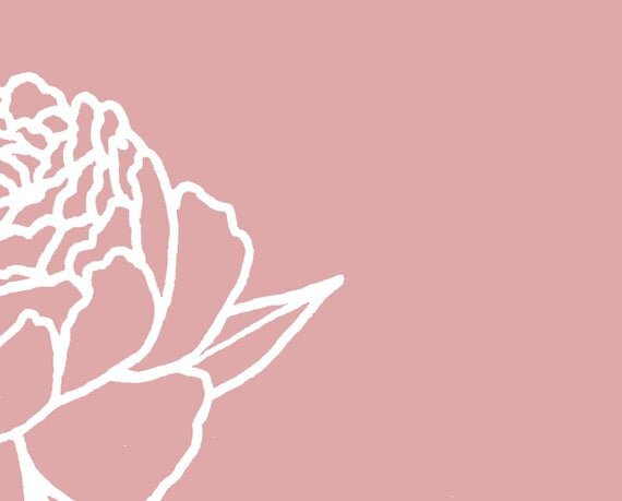 peony rose pink minimal minimalist art artwork illustration dusty dusky pink simple line drawing
