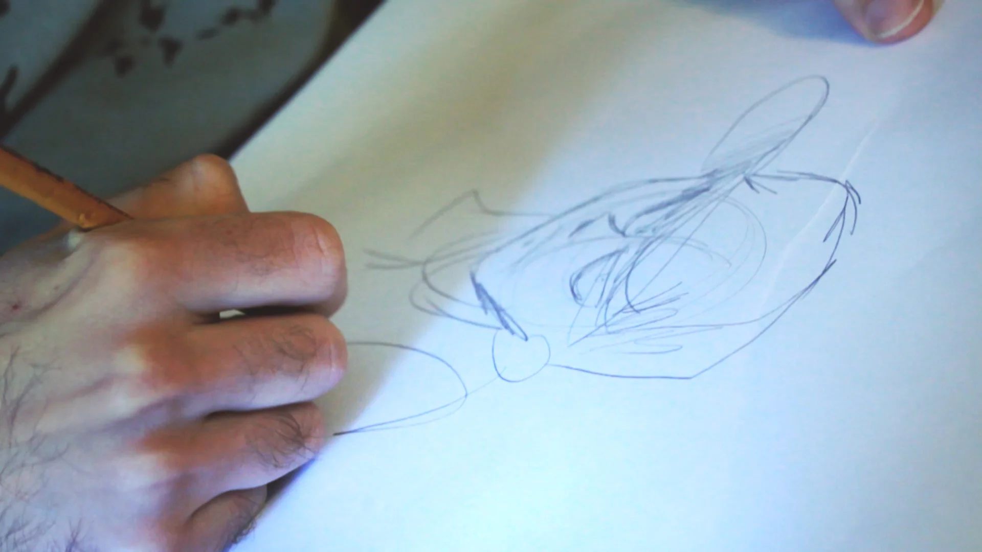 WIRED STORIE -DOCUMENTARIO ZEROCALCARE