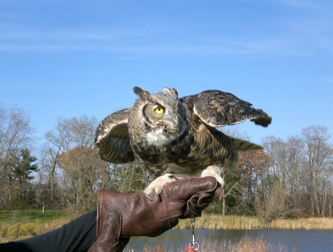 Together Today Memory Cafe - Tanglewood Nature Center (Elmira, Chemung Co)