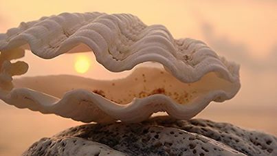 New Moon Nidra ~ Deep Guided Relaxation