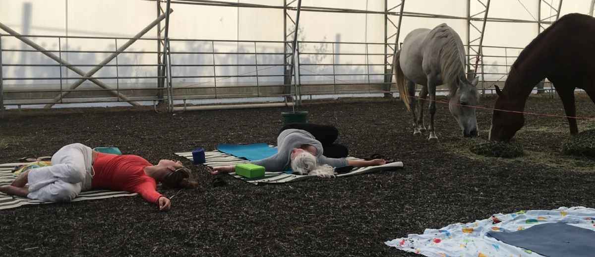 Yoga at the Horse Farm!