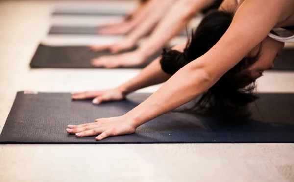 Mindful Flow Yoga ~ Lewiston
