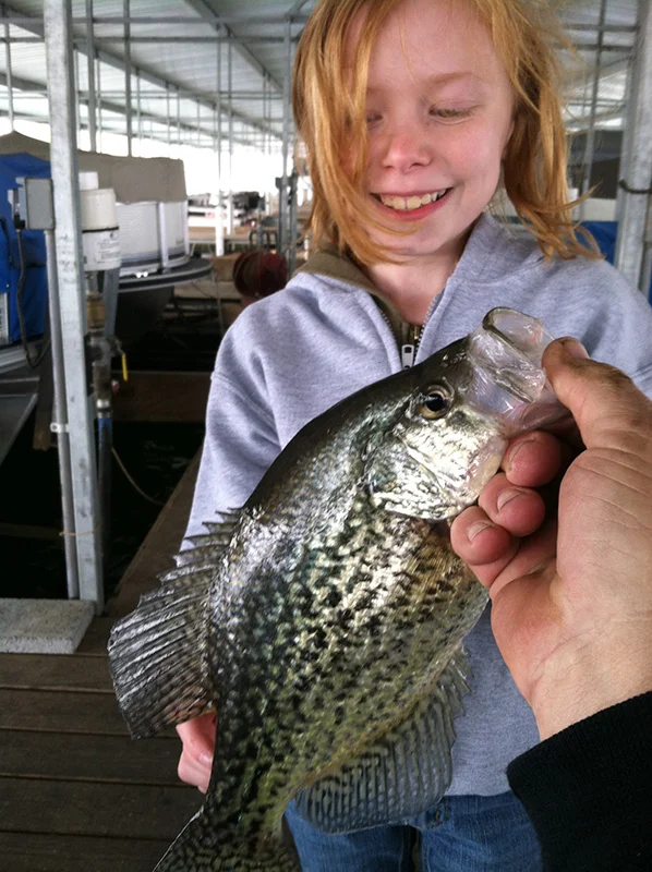 Crappie Catch