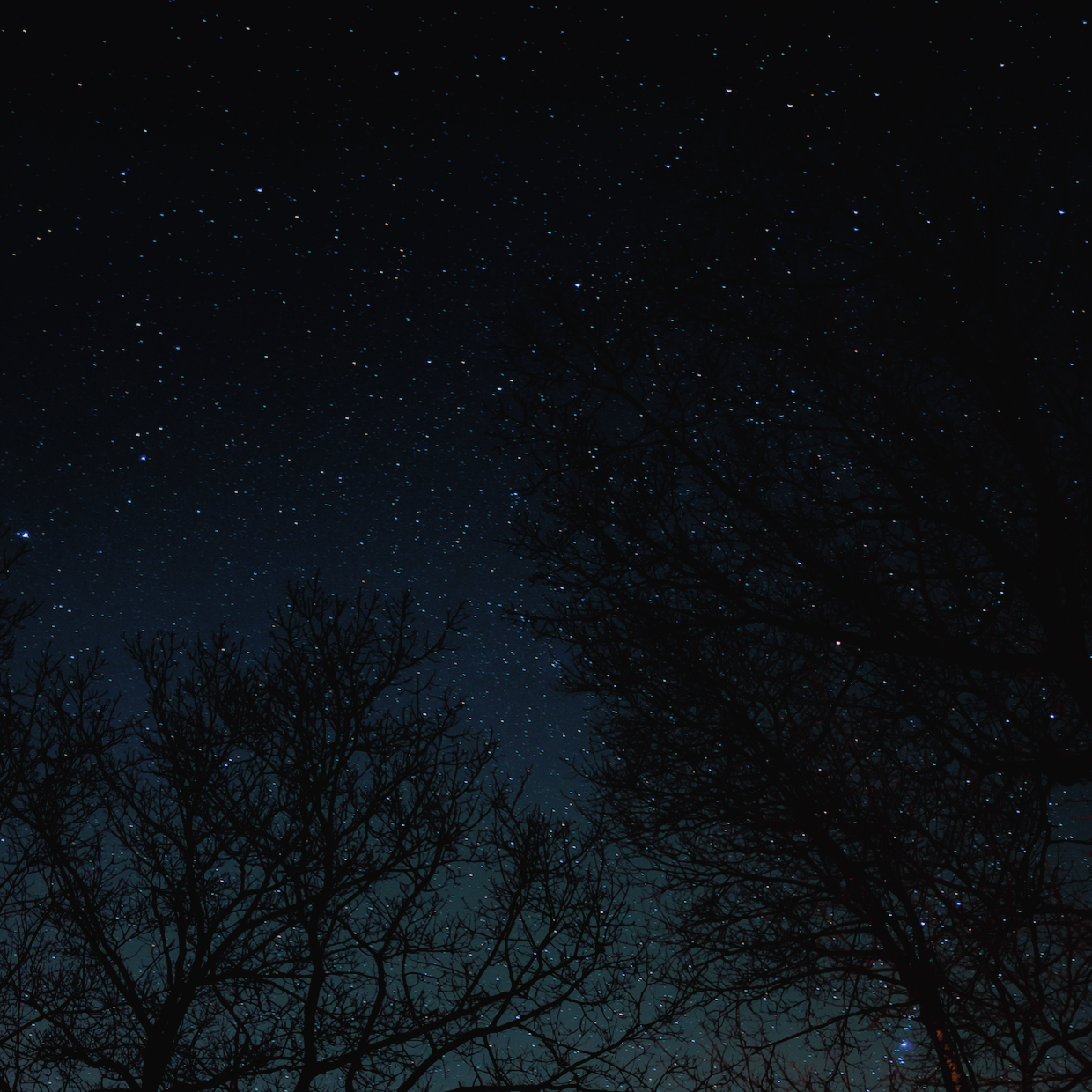 Nothin' Special‚Ä¶.png