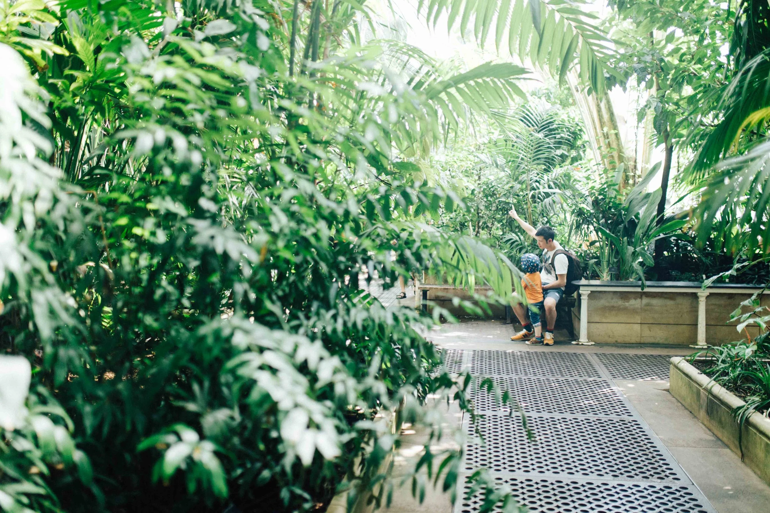 Little boy and father in Kew Gardens during family photo session