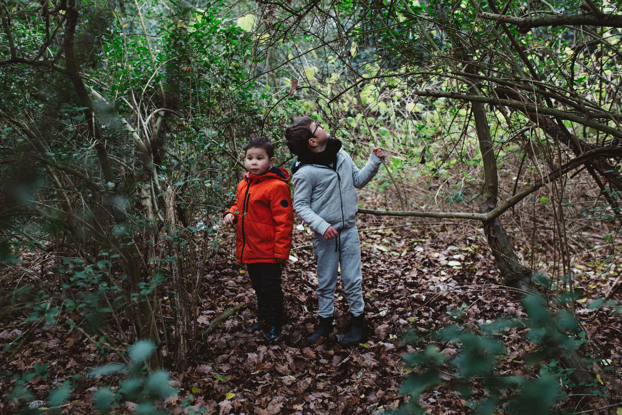 Exploring Dulwich Wood with children and friends