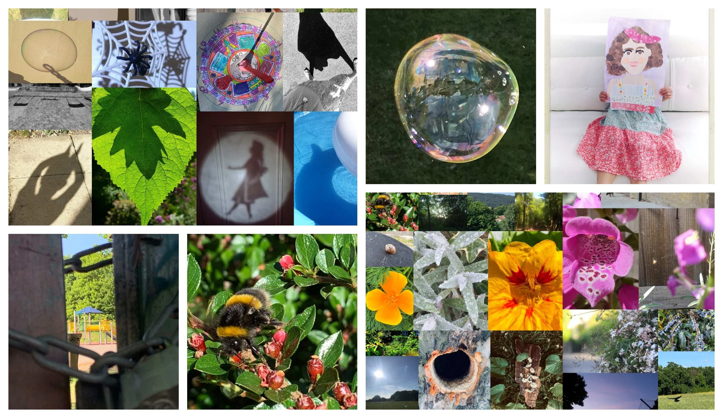 How a photo challenge turned children into mini photographers