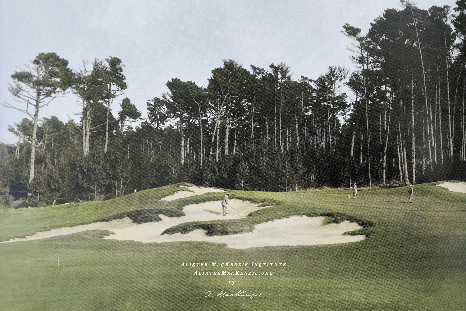 CYPRESS POINT GOLF COURSE Alister MacKenzie Institute cypress-point-golf-course-alister-mackenzie-institute
