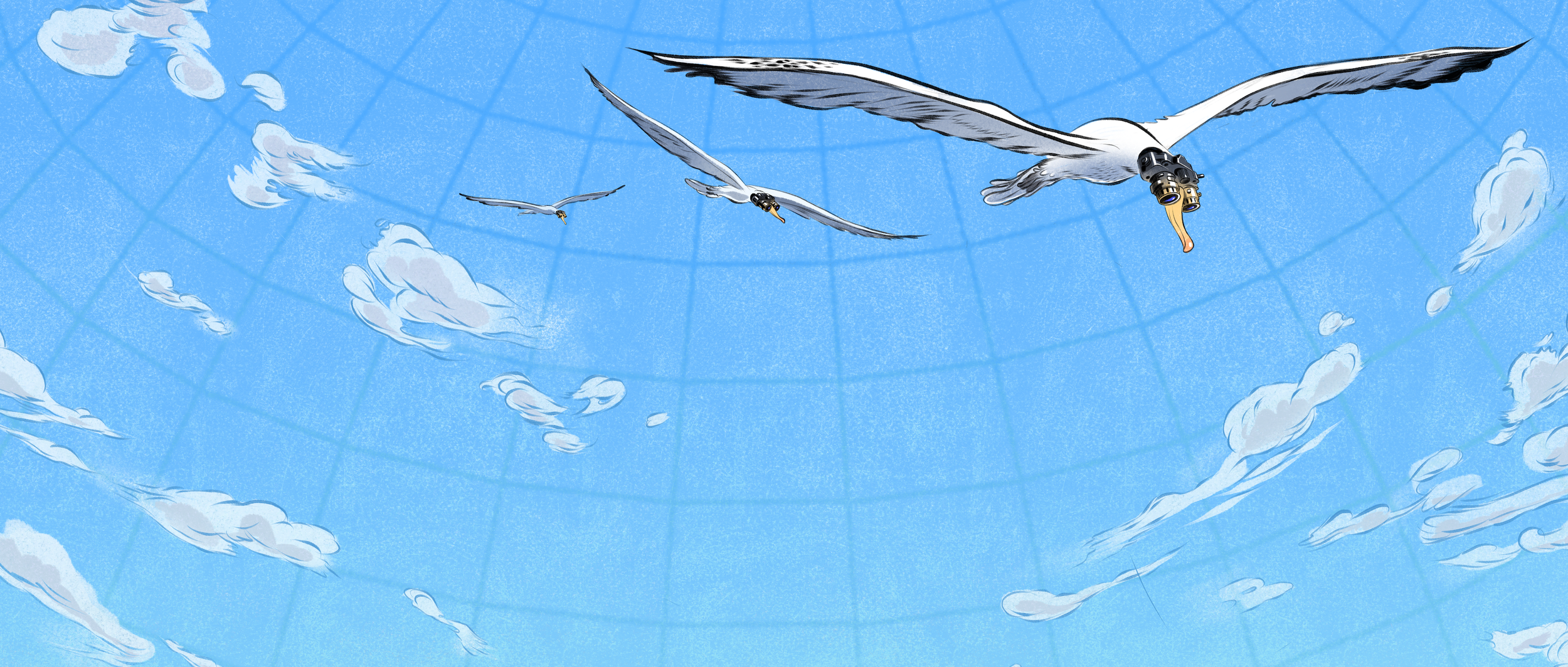 Illustrations by Robert Babboni
