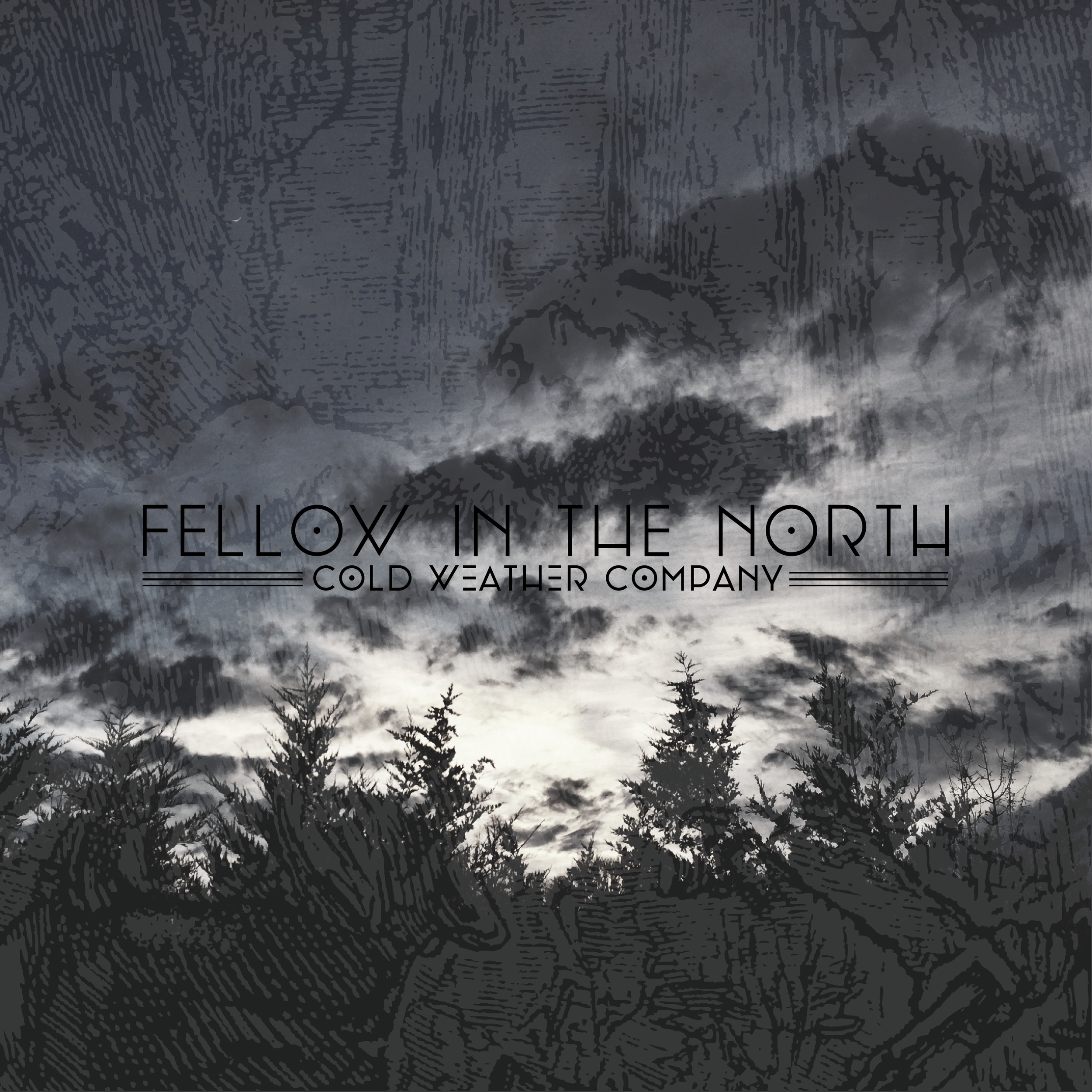 FELLOW_FINAL_COVER_COOL-01.png