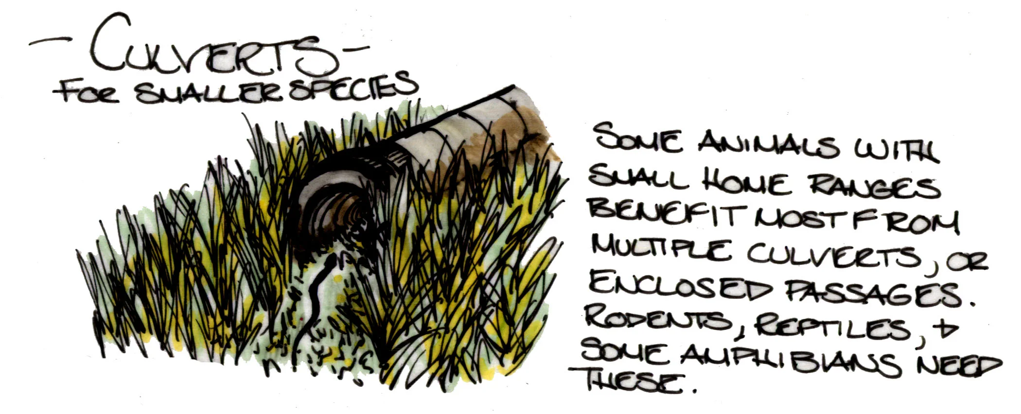 LandBridgeDesignsEDITED2_Culverts (2).jpg