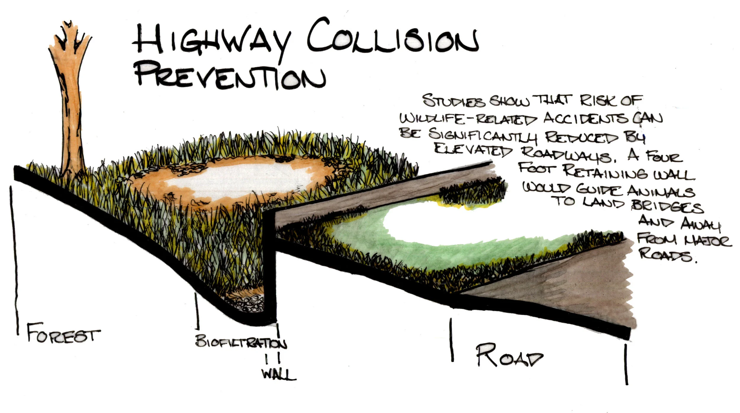 LandBridgeDesignsEDITED1_CollPrevention1 (2).jpg