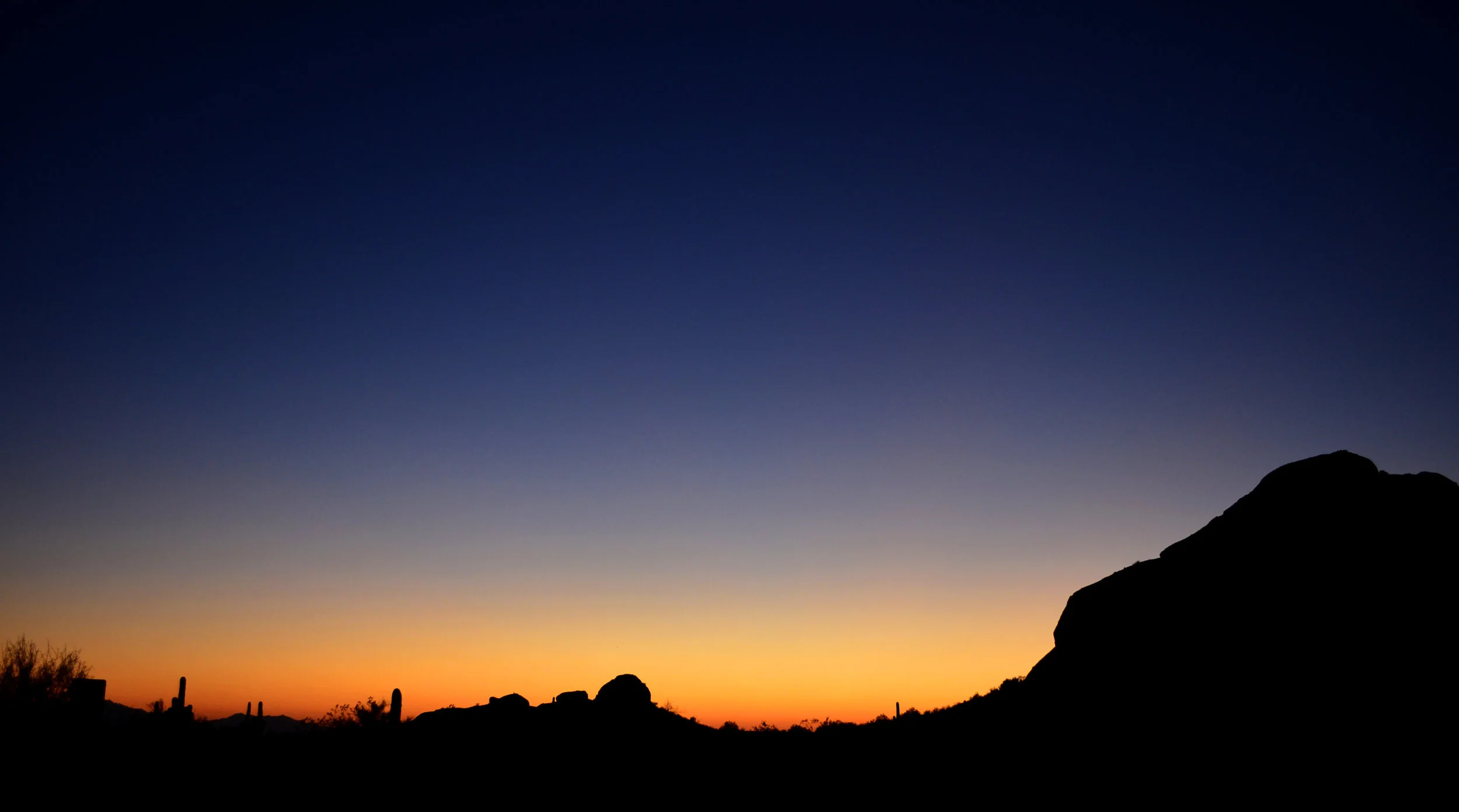 DSC_0956.jpg