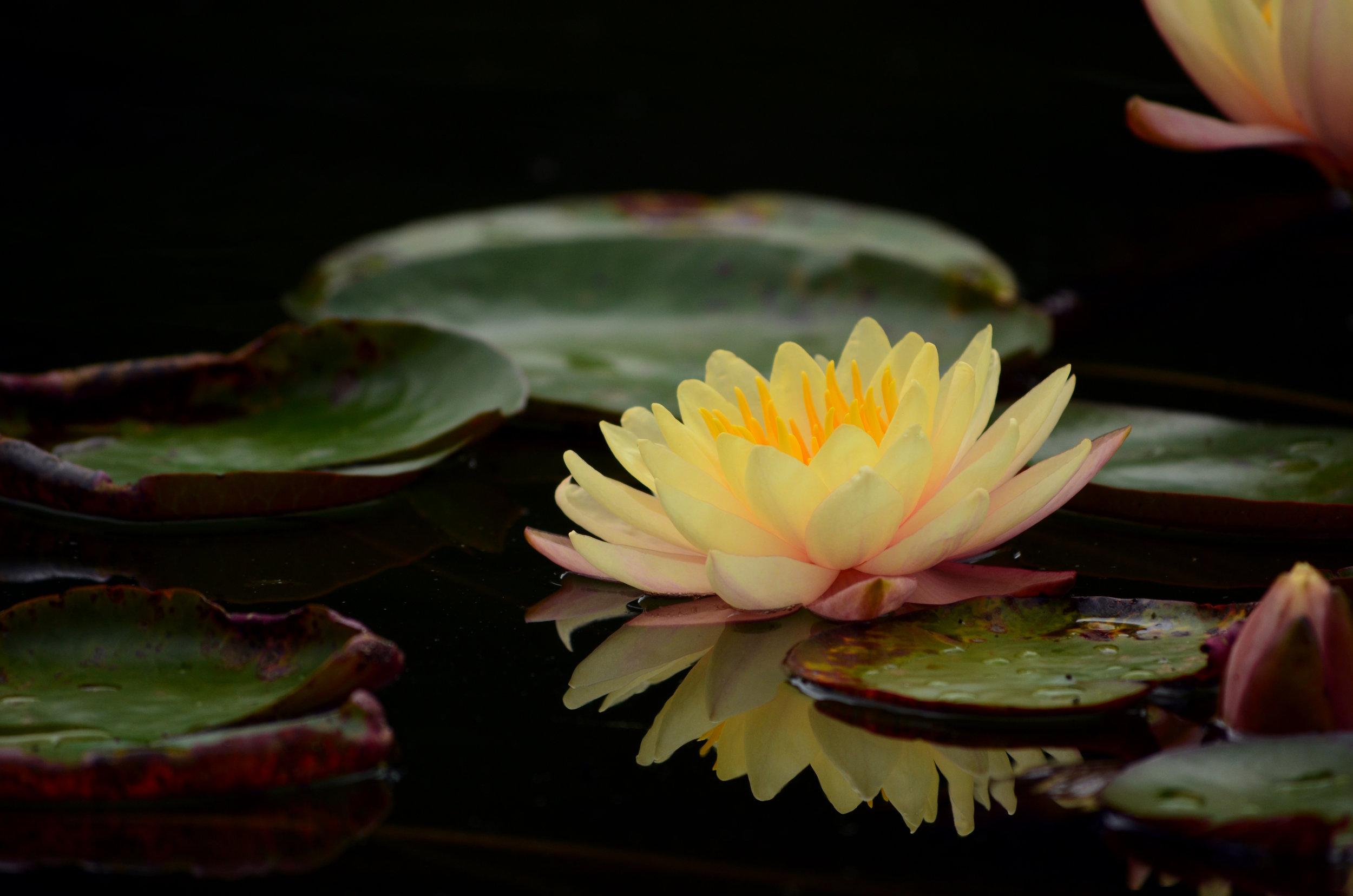 DSC_1430.jpg