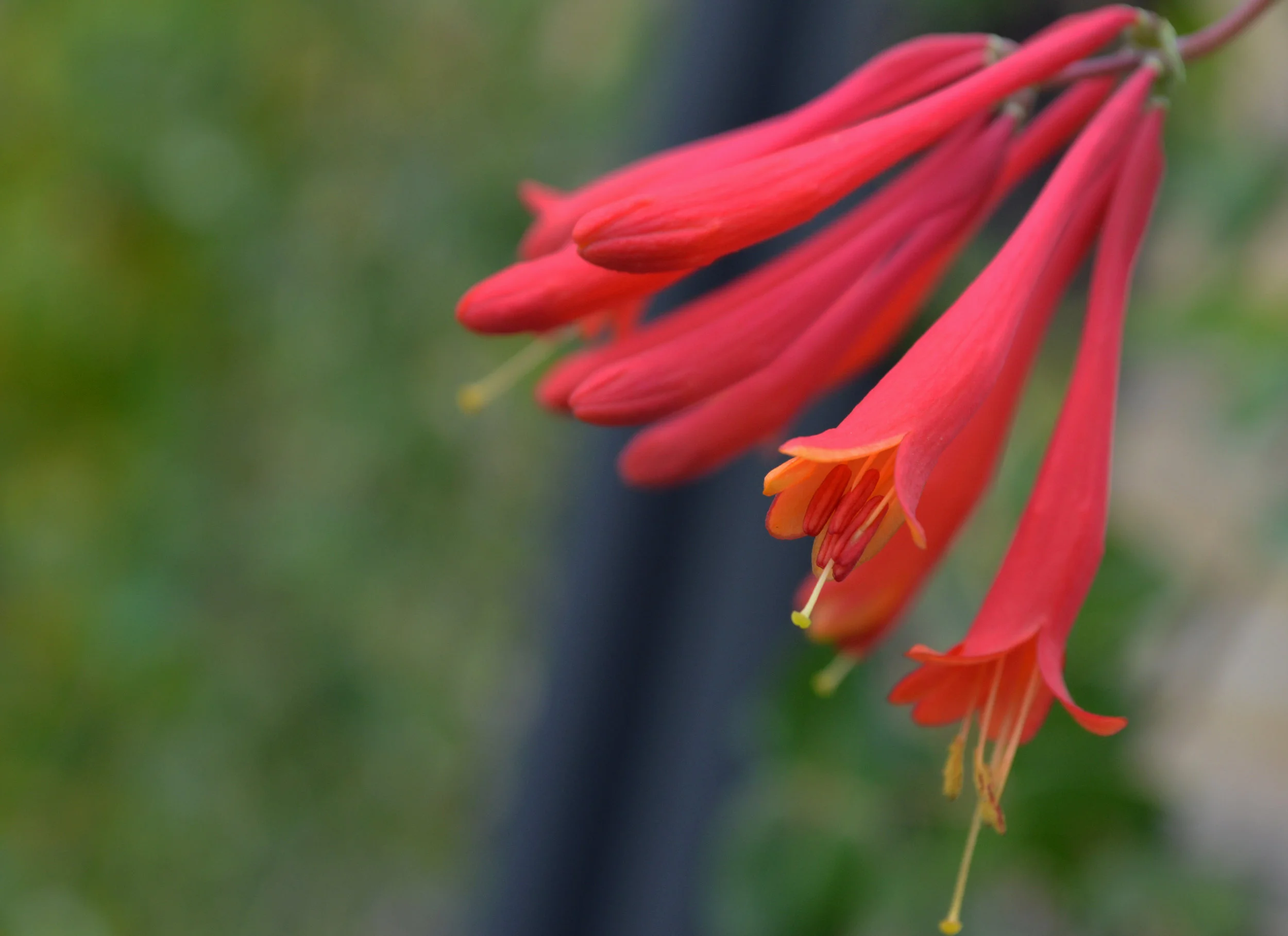 DSC_1375.jpg