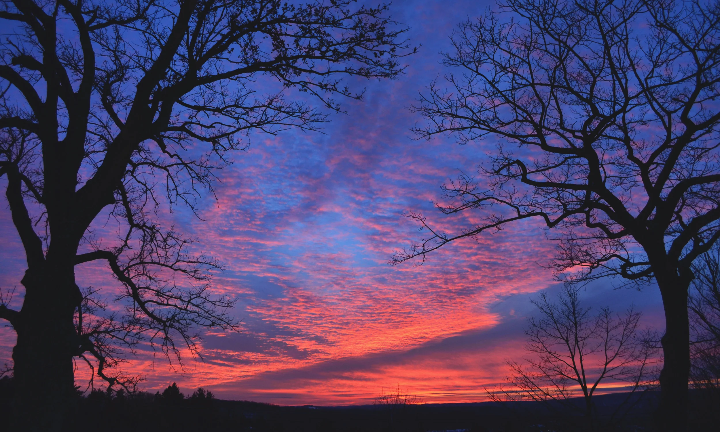 VILLA_WALSH_SUNSET_1.jpg