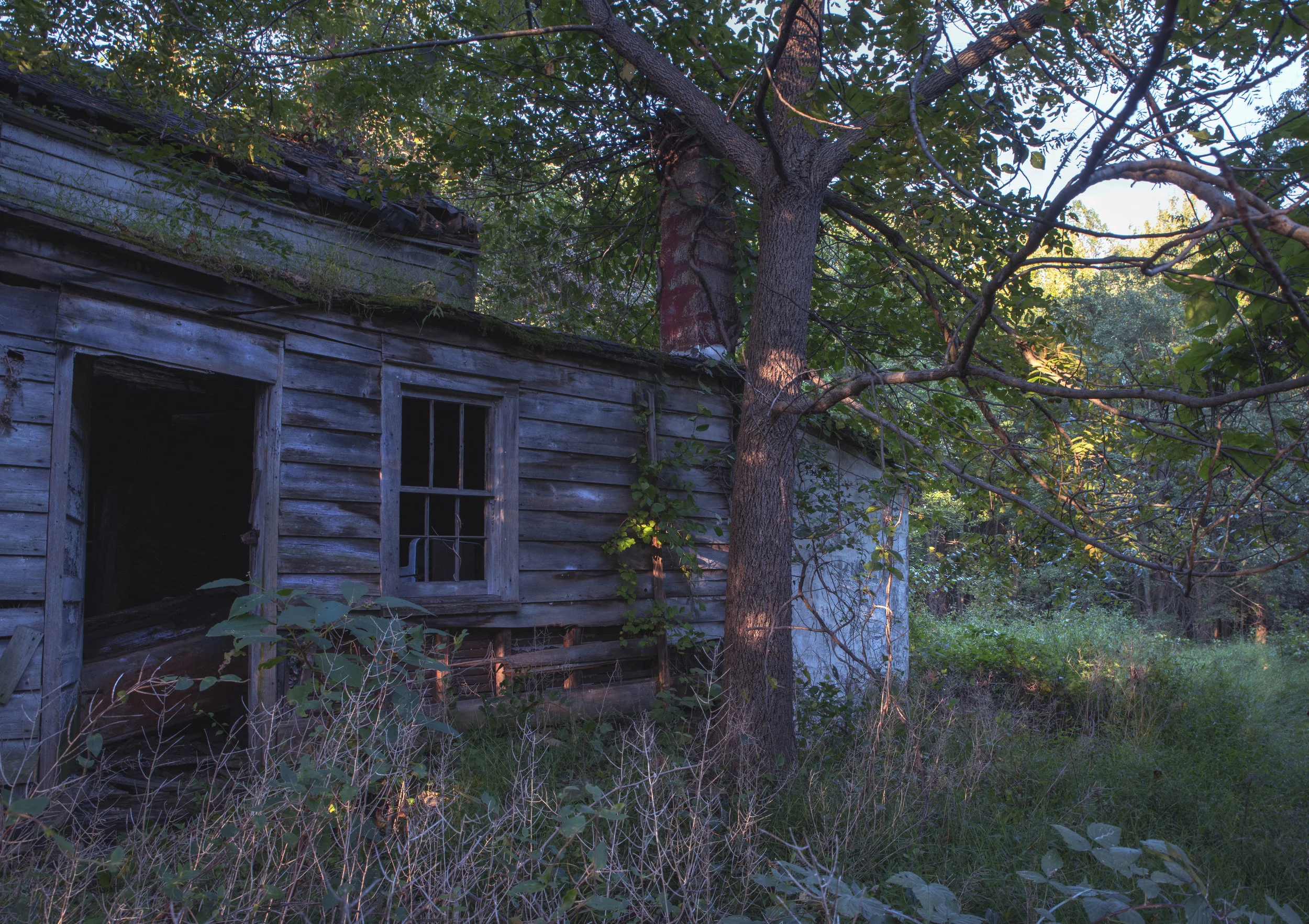 ABANDONED_917_1.jpg