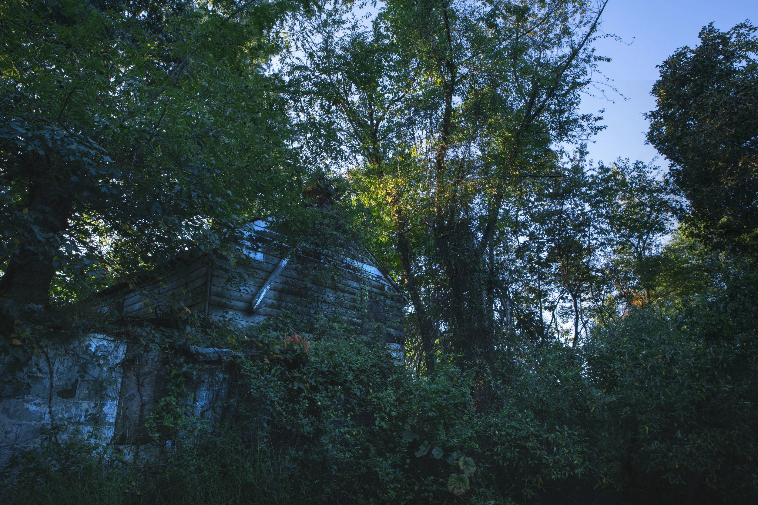 ABANDONED2.jpg
