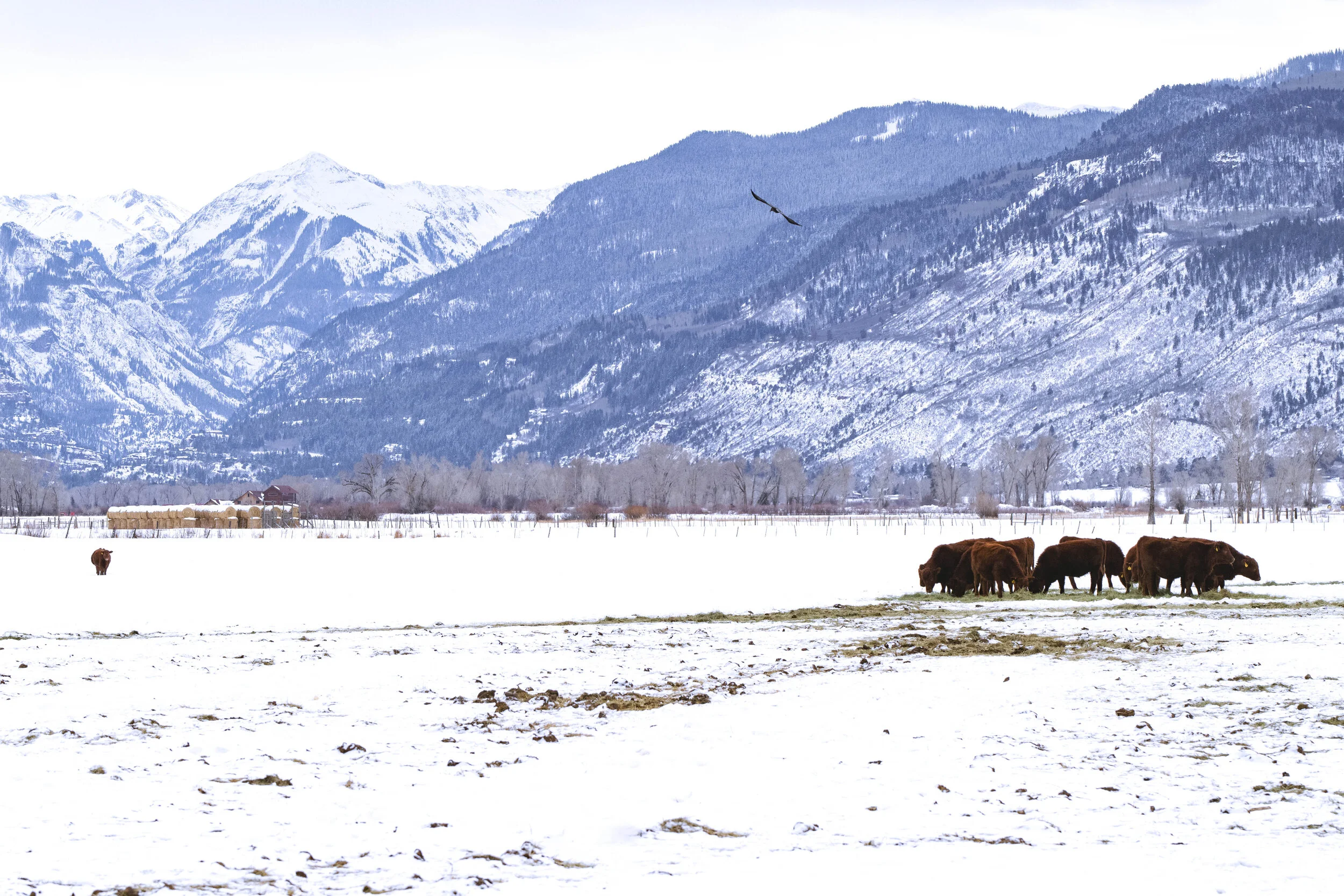 DSC_5753.jpg