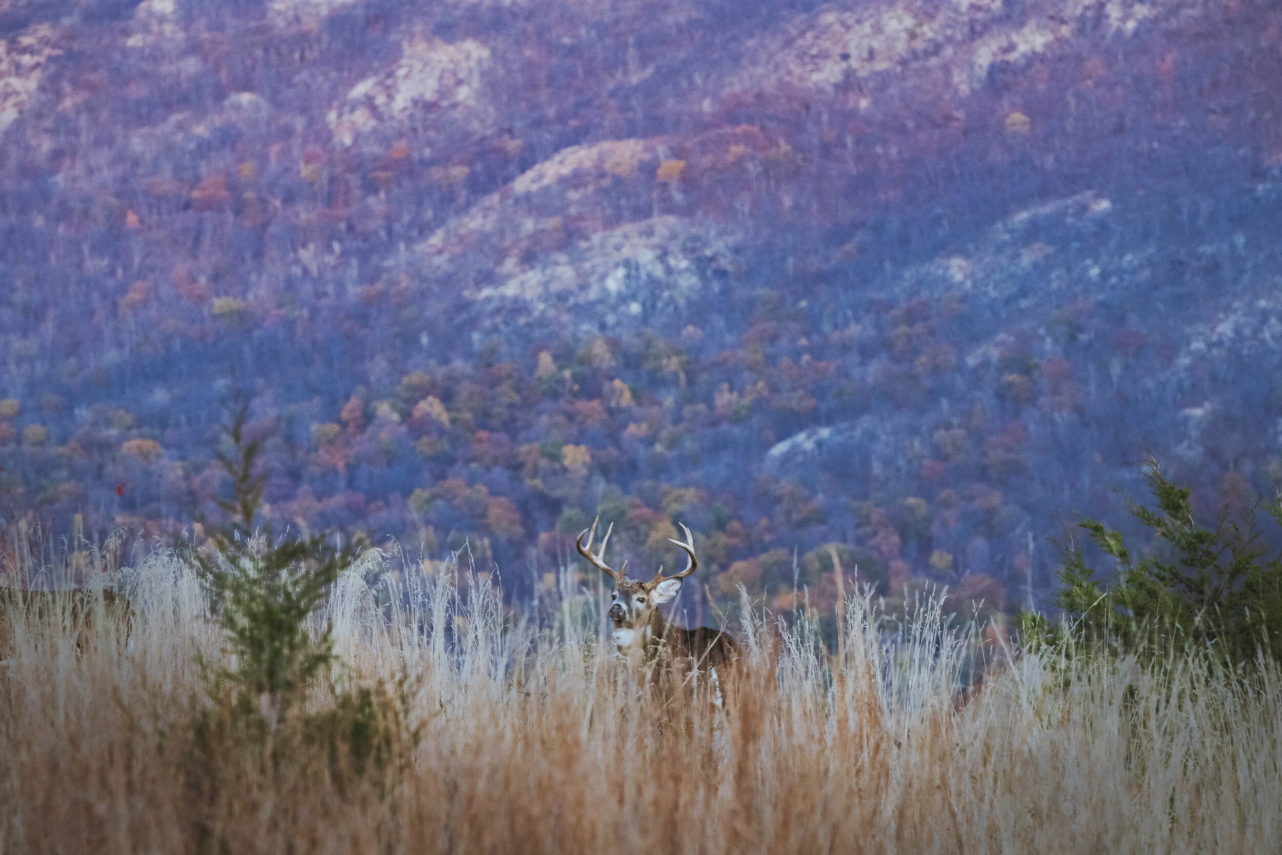 DSC_0750.jpg