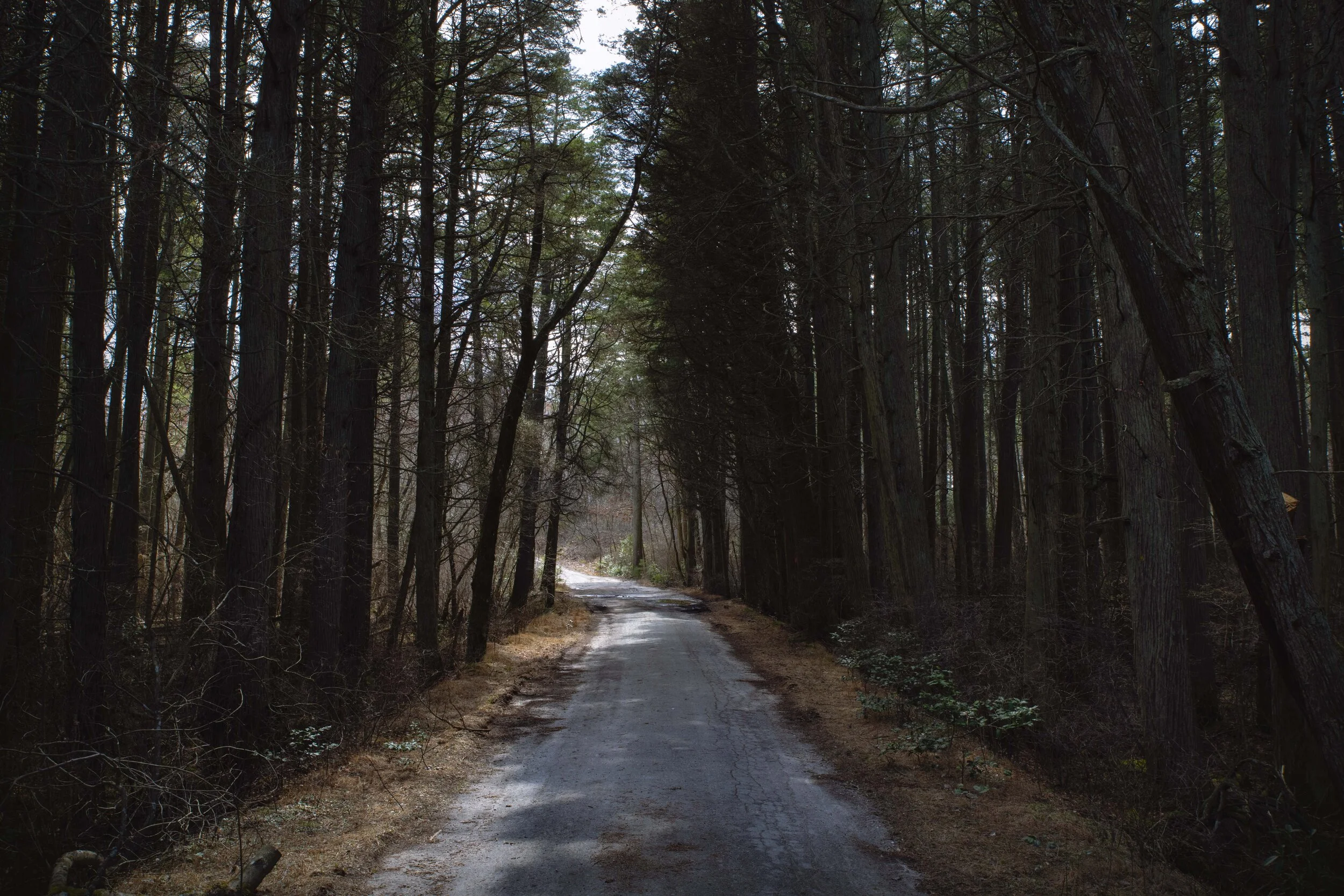 DSC_8903.jpg