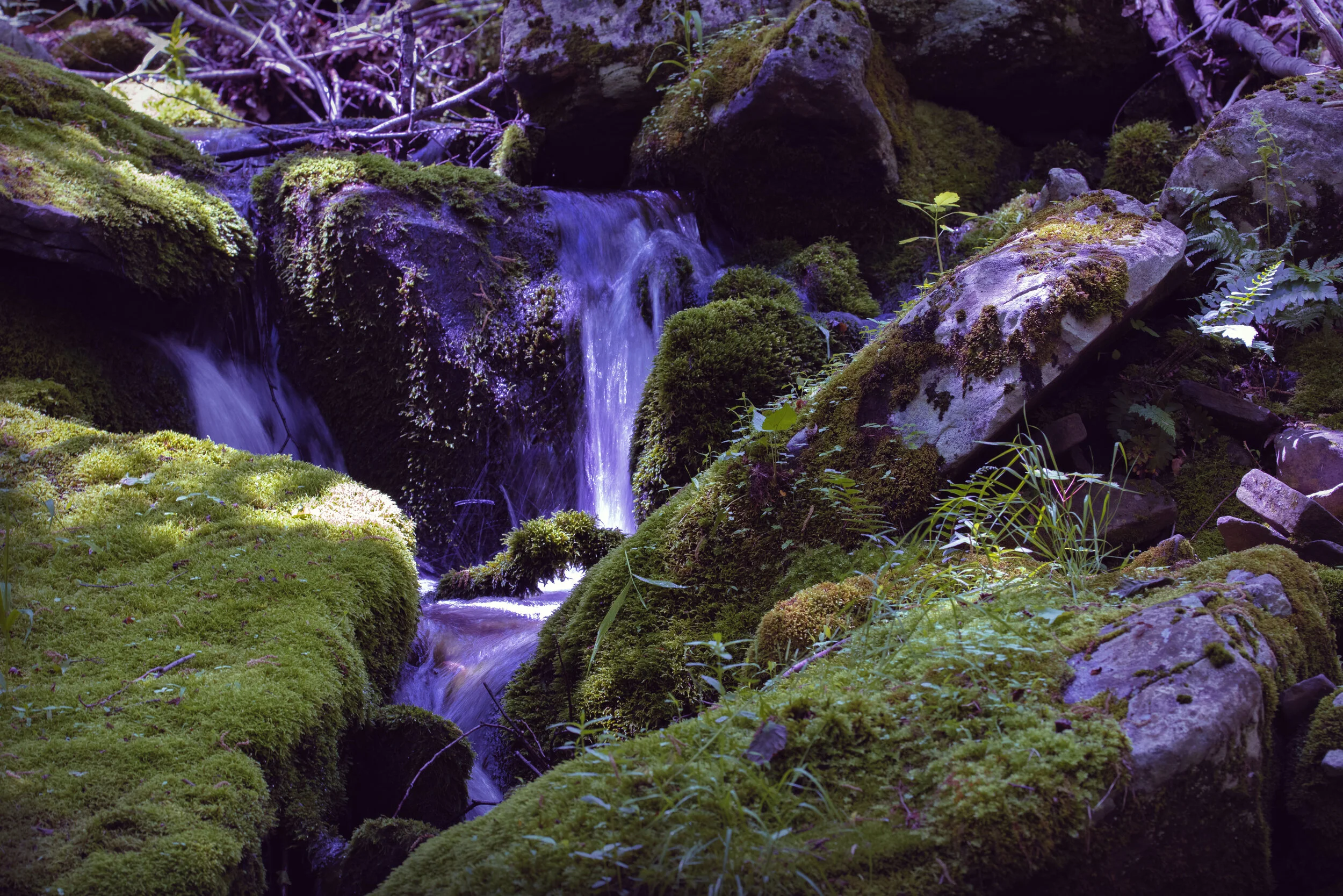 MOSSRIVER1.jpg
