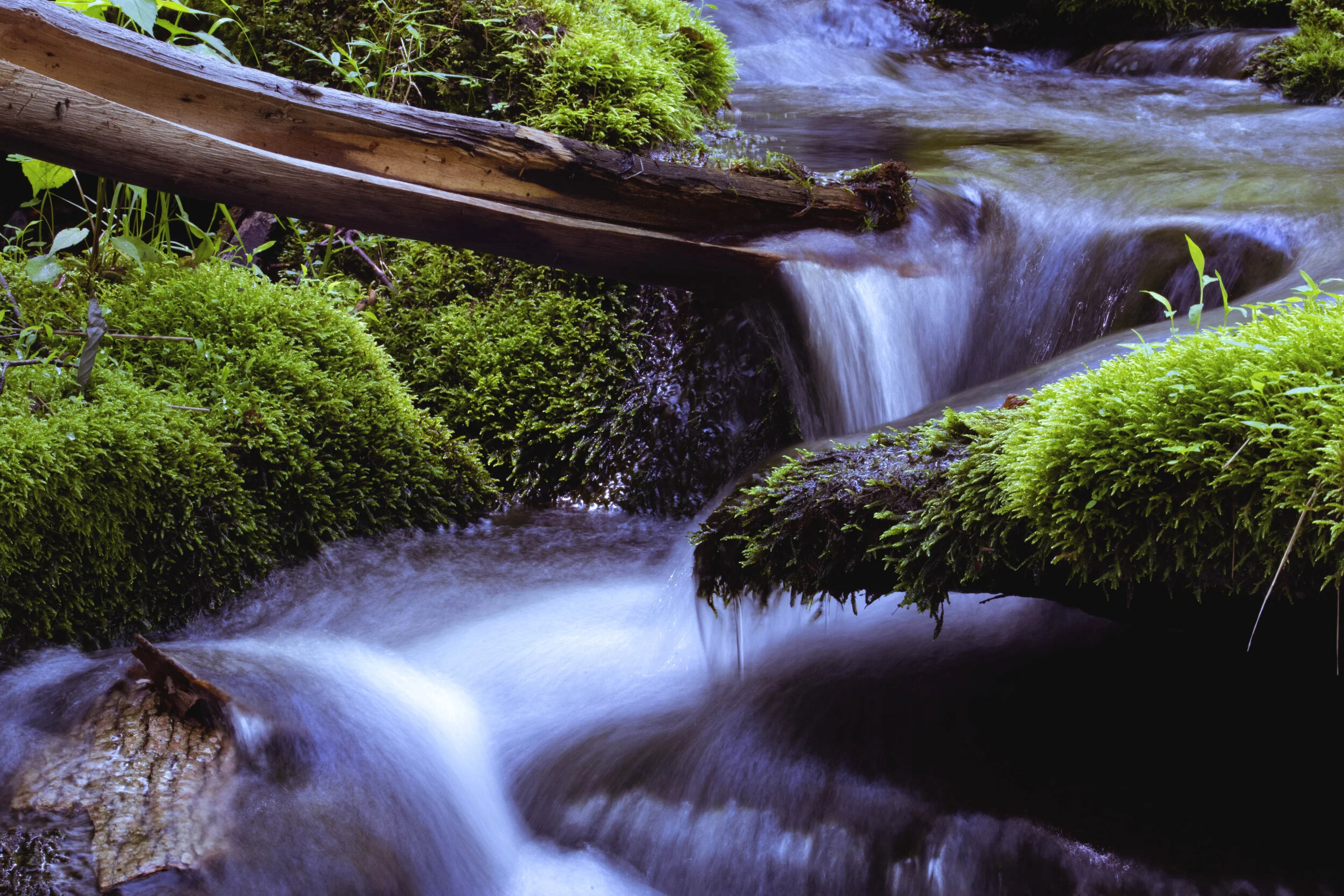 MOSSRIVER3.jpg
