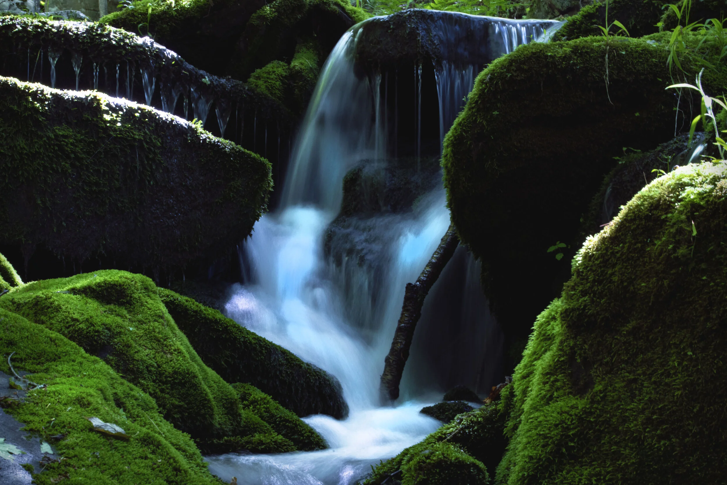 MOSSRIVERMAGIC.jpg
