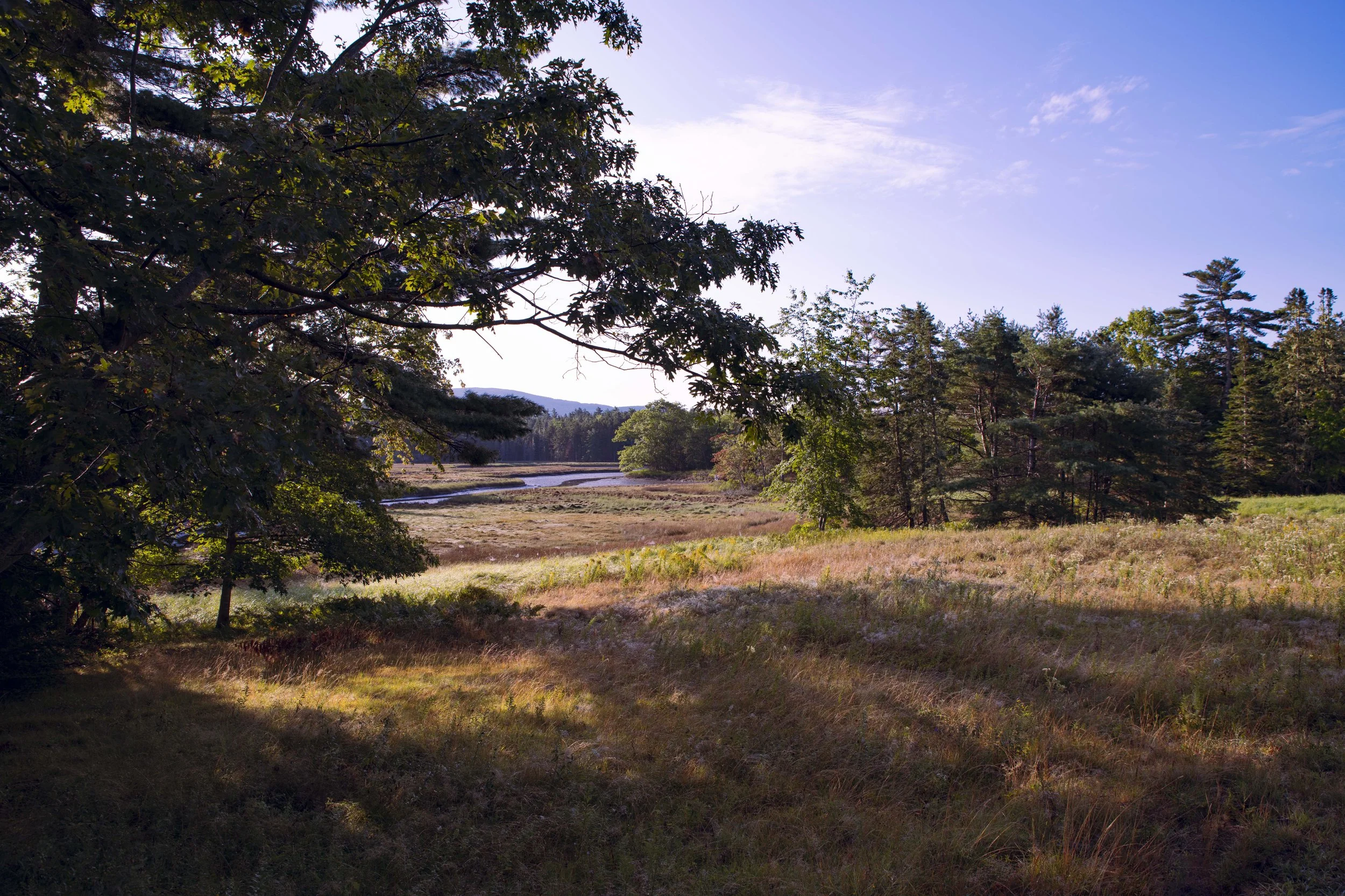 CWCountryPasture.jpg