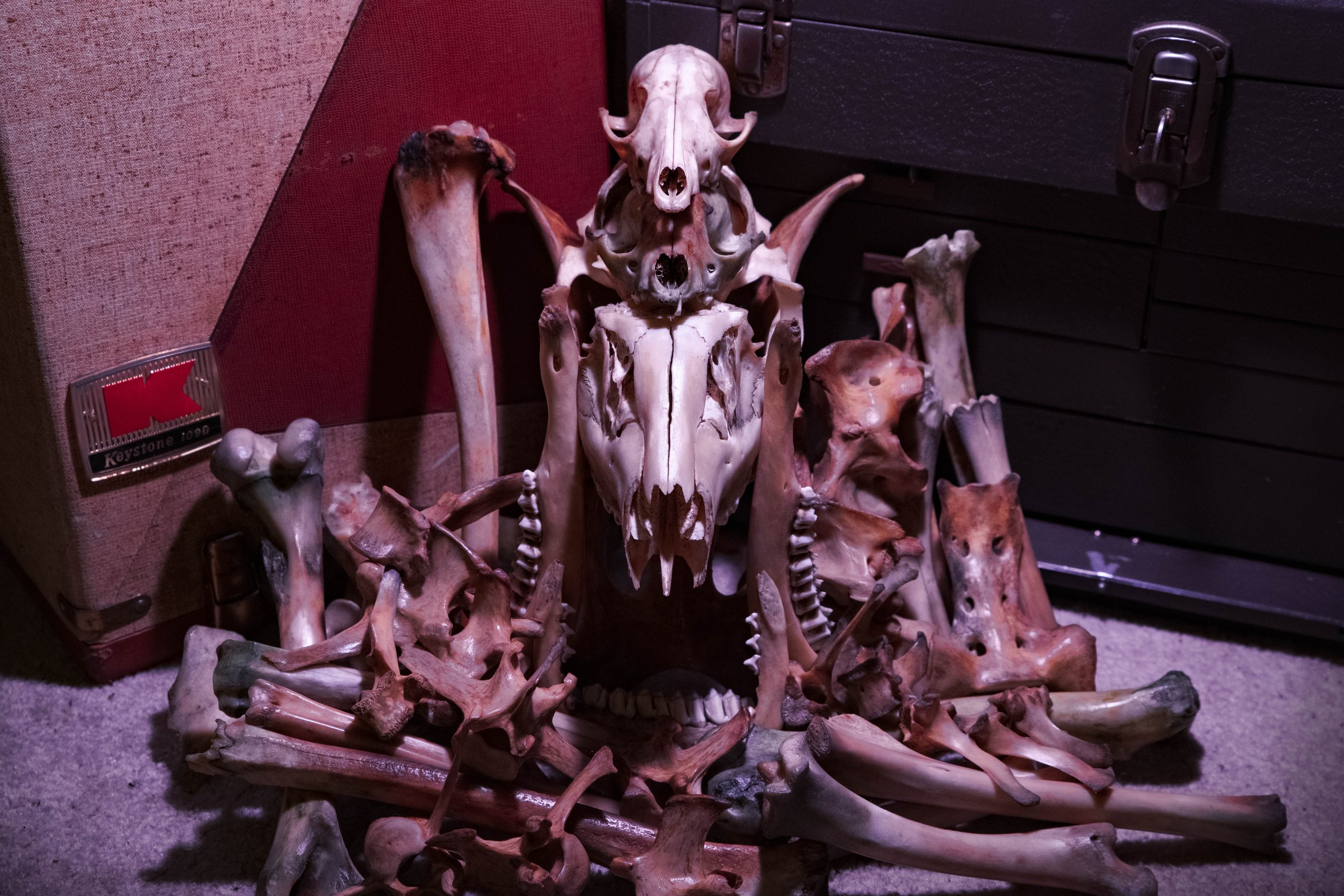 Bonethrone1.jpg